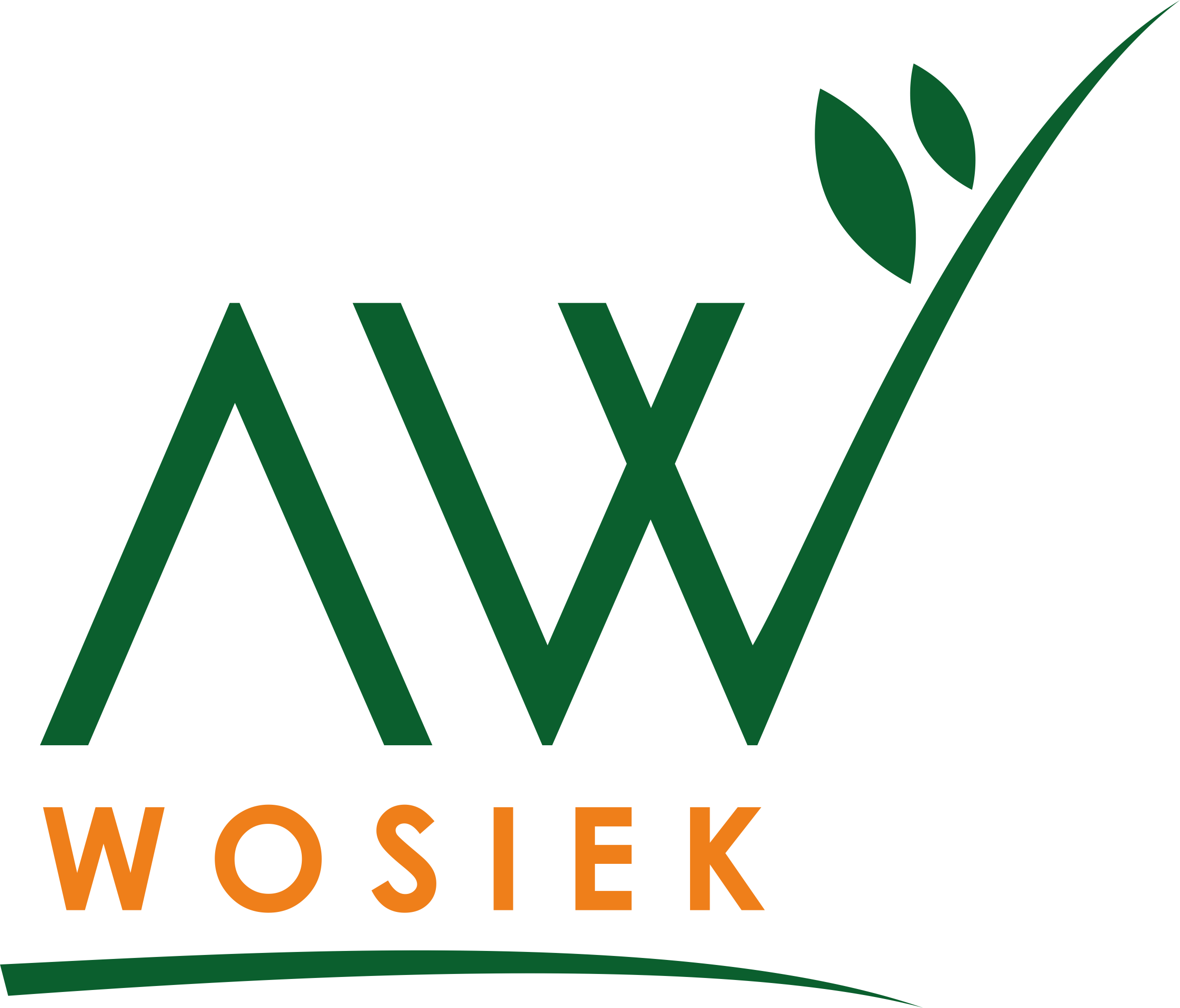 AW Wiktor Wosiek