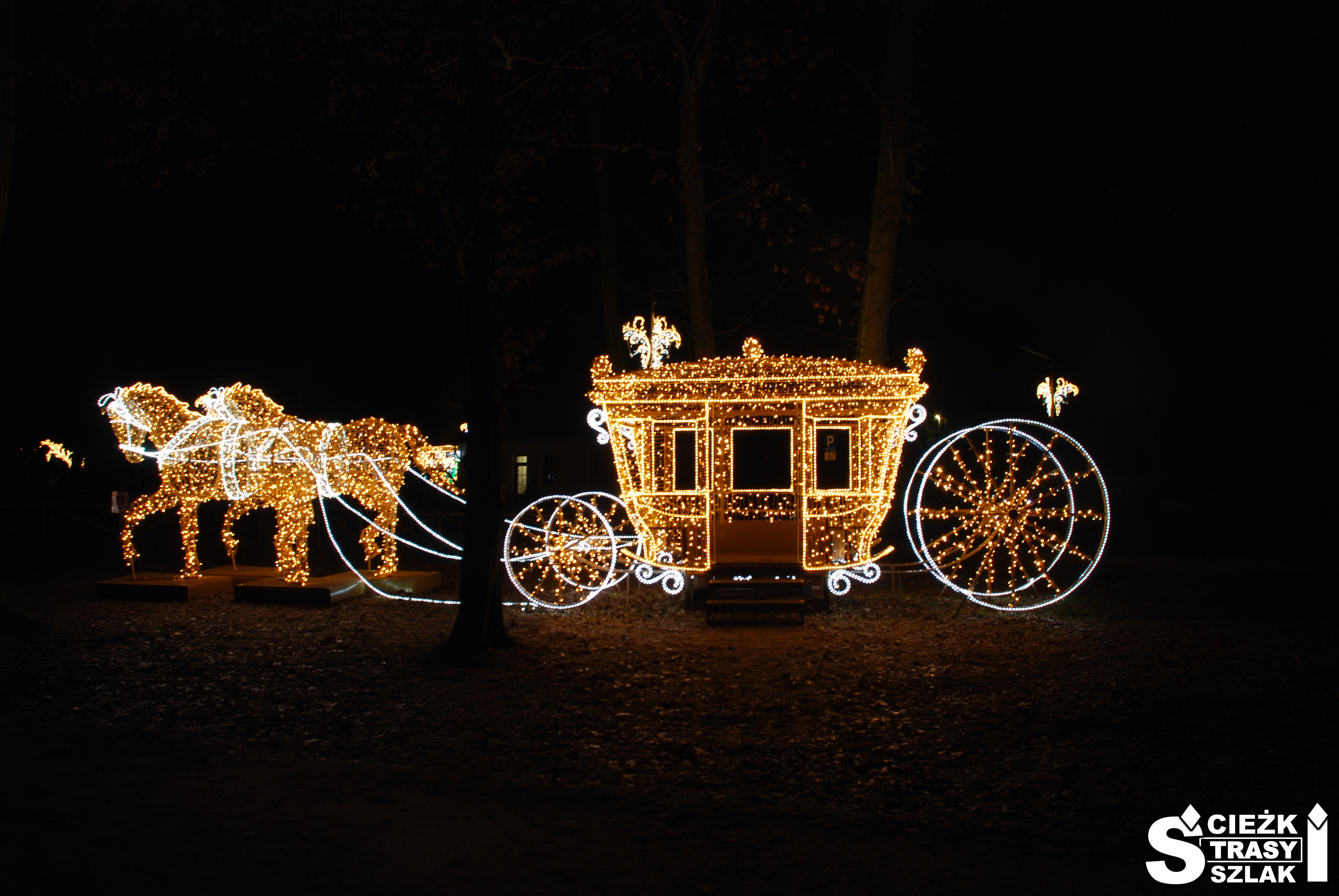 Podświetlona złota kareta zaprzężona do podświetlonych na złoto dwóch koni w Parku przy Pałacu Zatoń