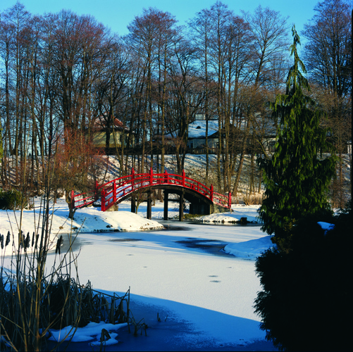 Park w Lusławicach, 2004 r. (skan nr 028)
