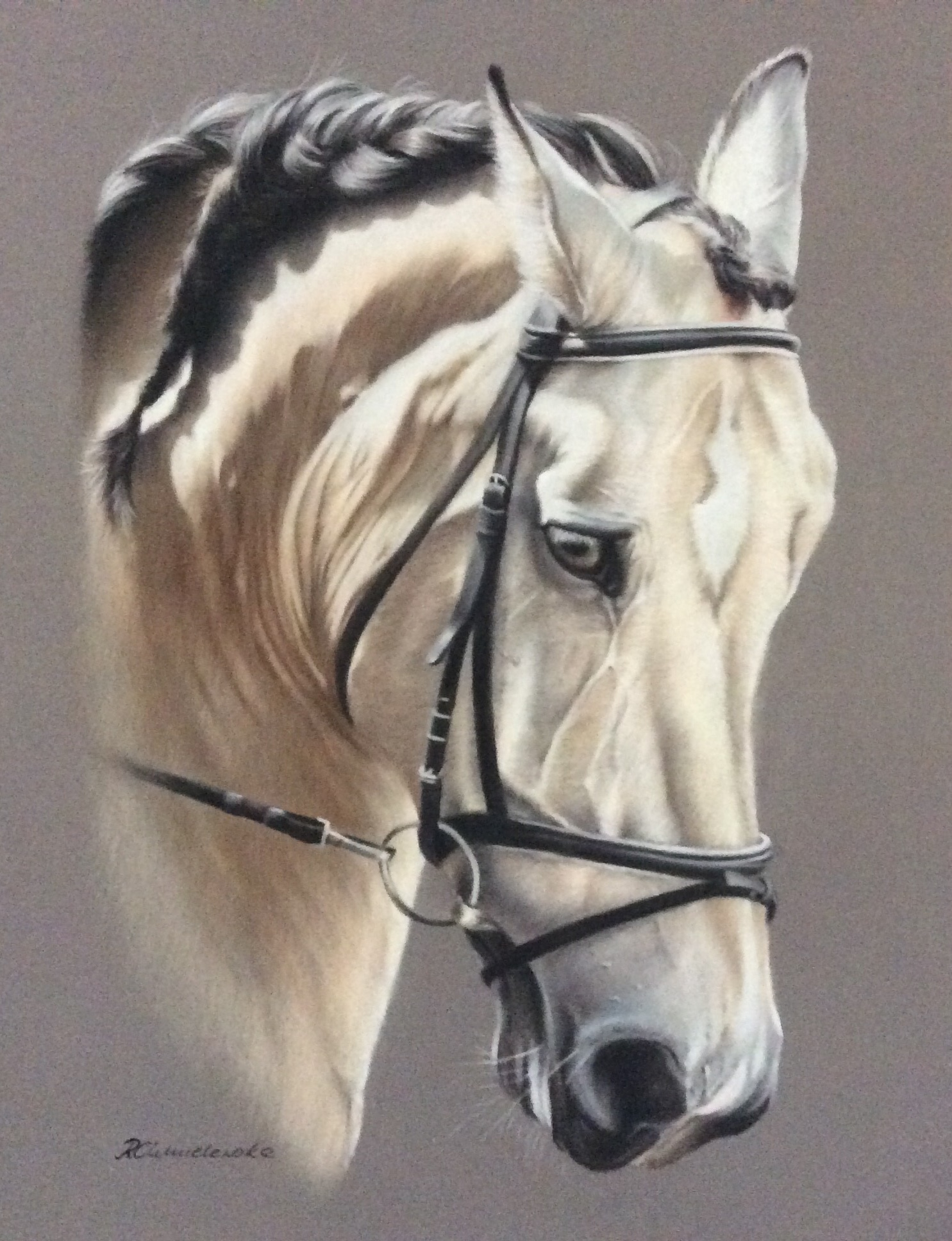 Horse in pastel pencils 30x40cm, 450 PLN