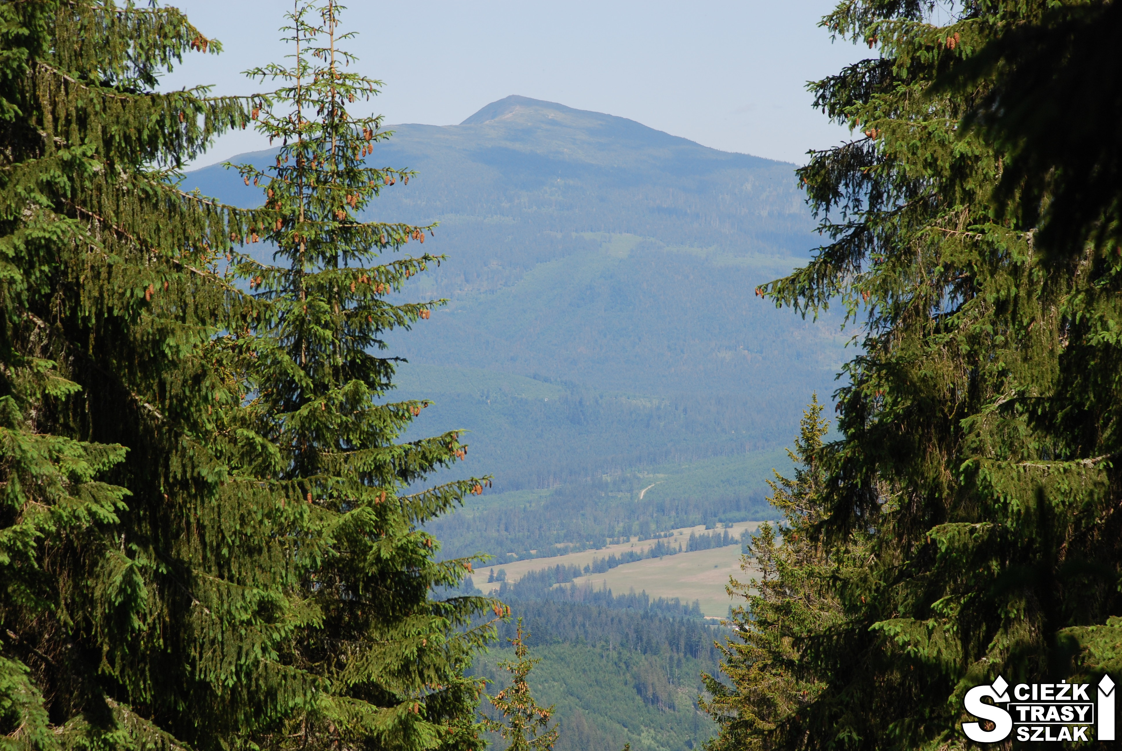 Pejzaż górski z widokiem na Babią Górę z czerwonego szlaku górskiego na Górę Pilsko na Słowacji