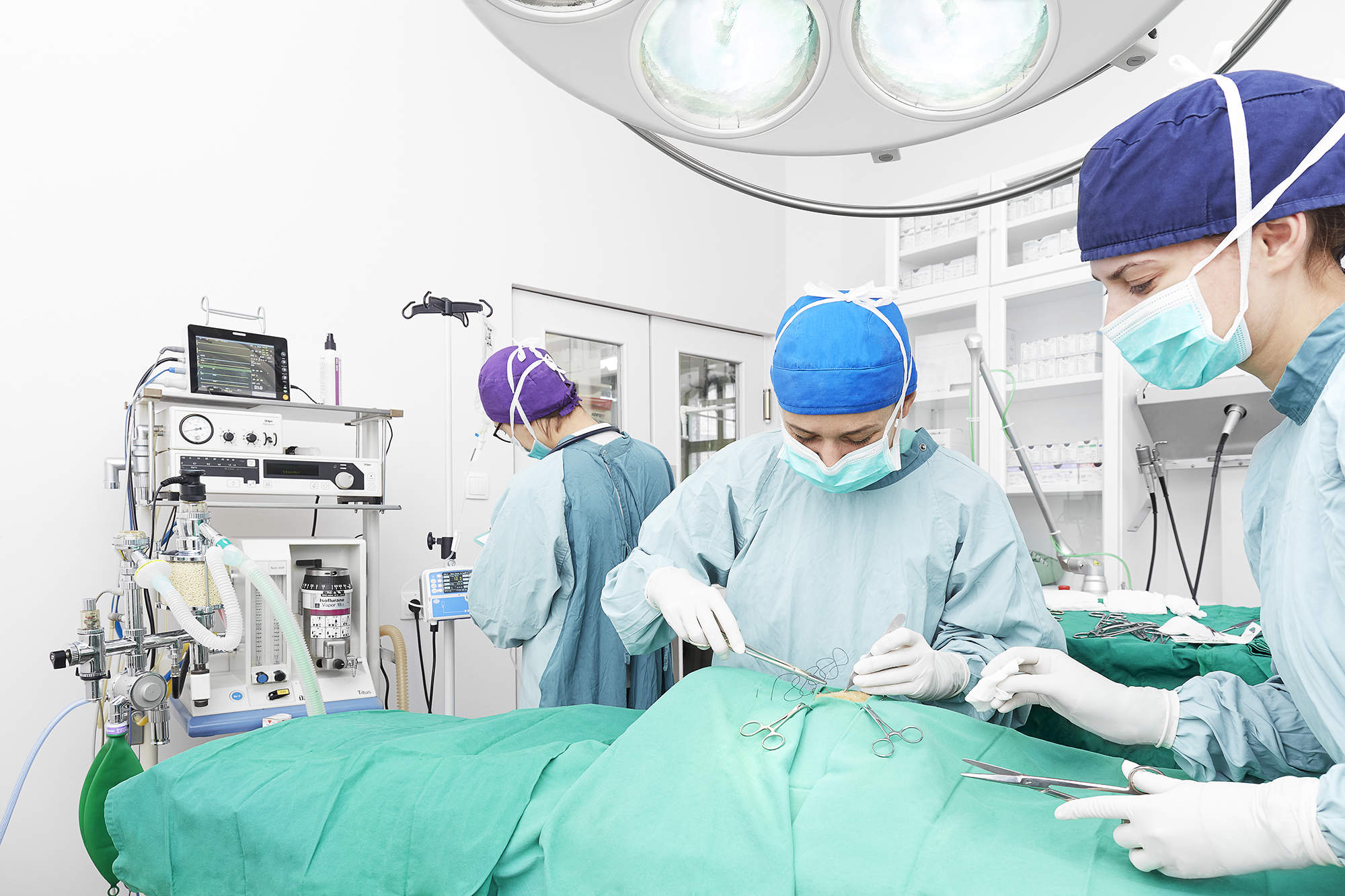 specjalista ortopeda weterynaryjny w gdańsku, zabieg TTA rapid w szpitalu weterynaryjnym w gdańsku