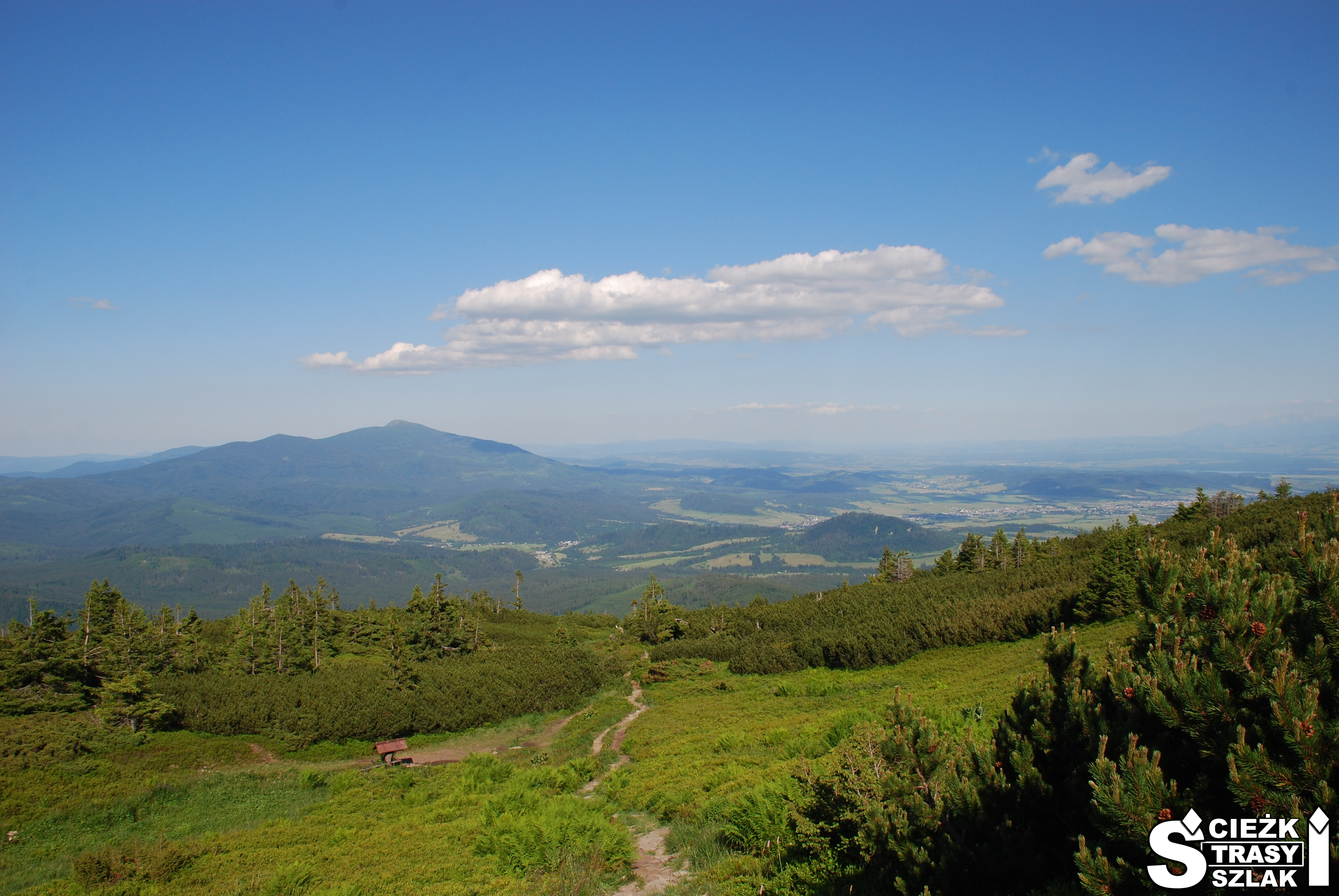 Pejzaż górski na granicy polsko-słowackiej ze szczytu Góry Pilsko porośniętego kosodrzewiną i trawą