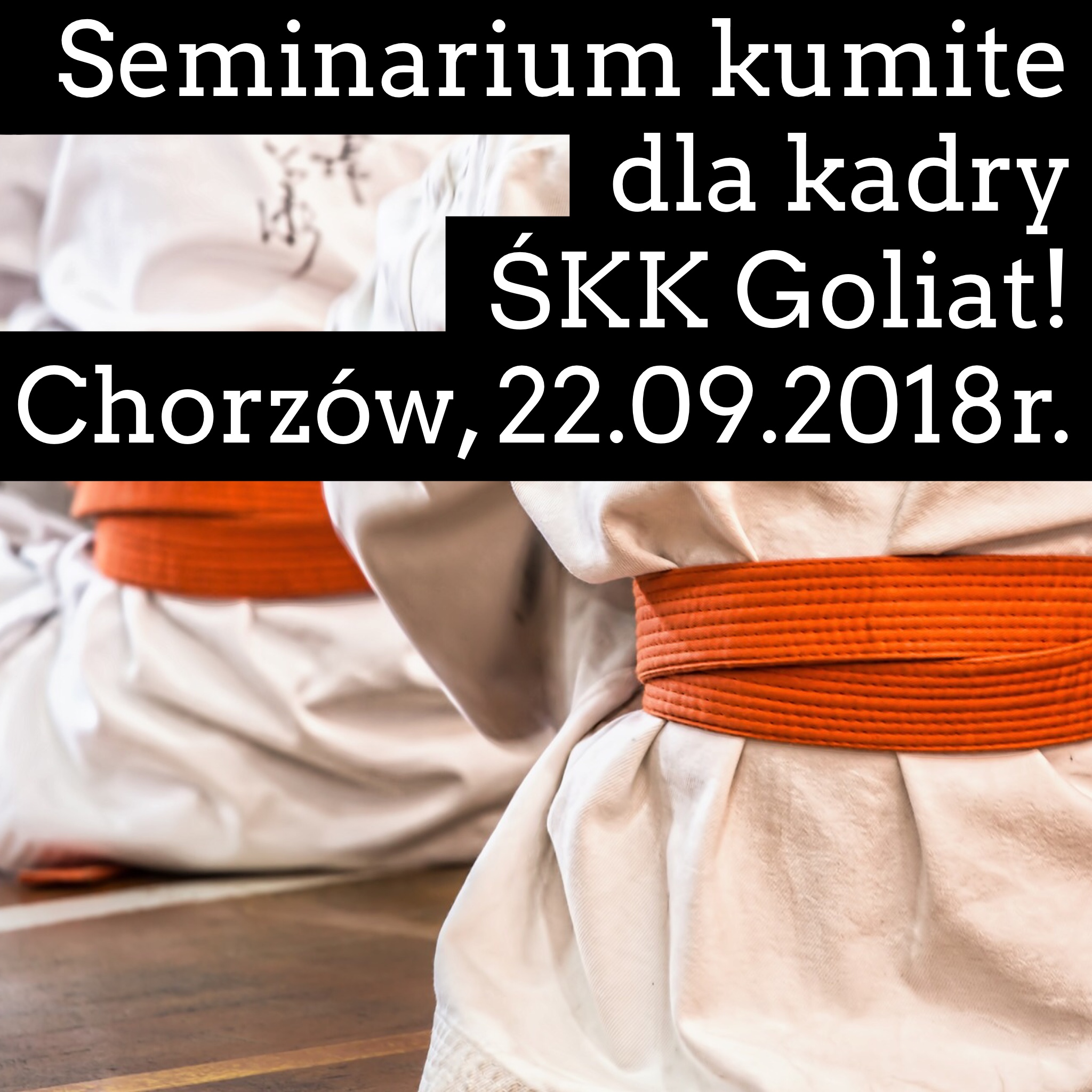 Seminarium kumite dla kadry ŚKK "GOLIAT" (22.09.2018r.)