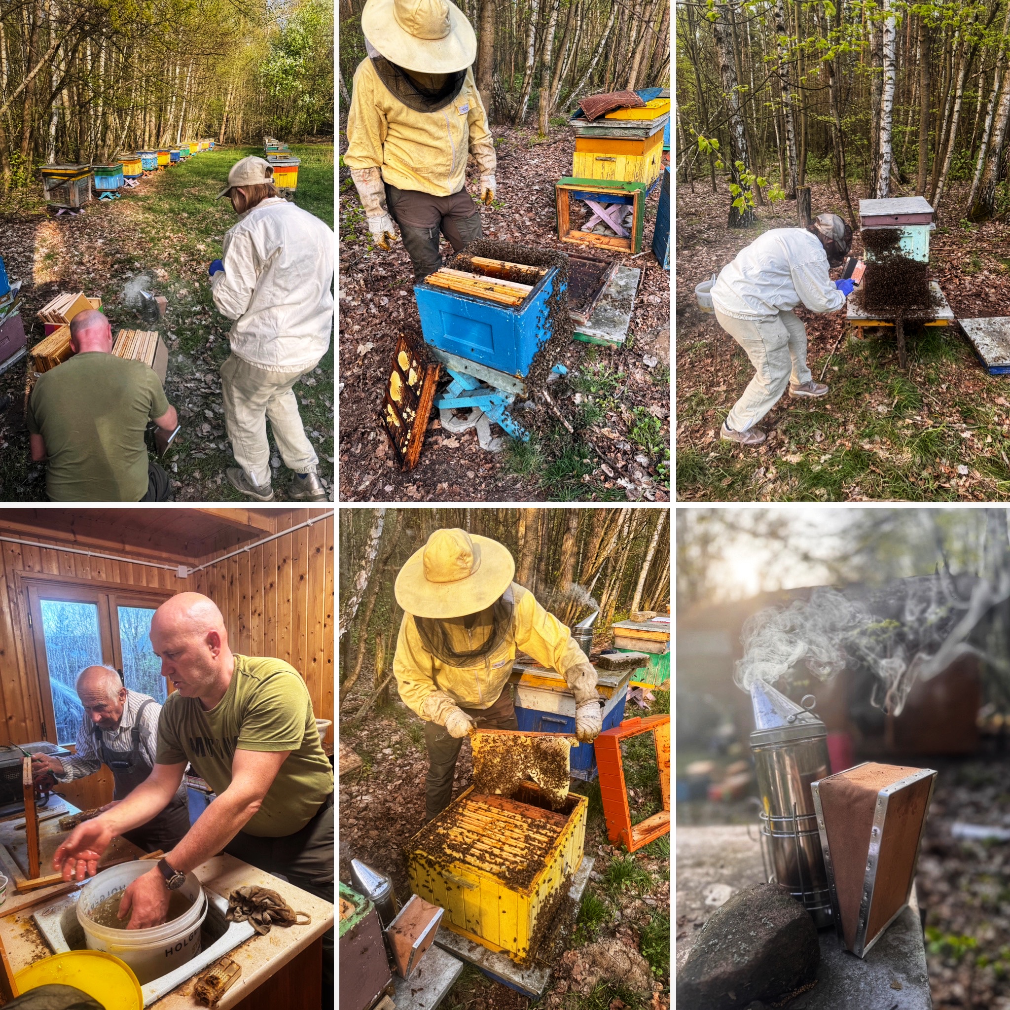 Work at the apiary