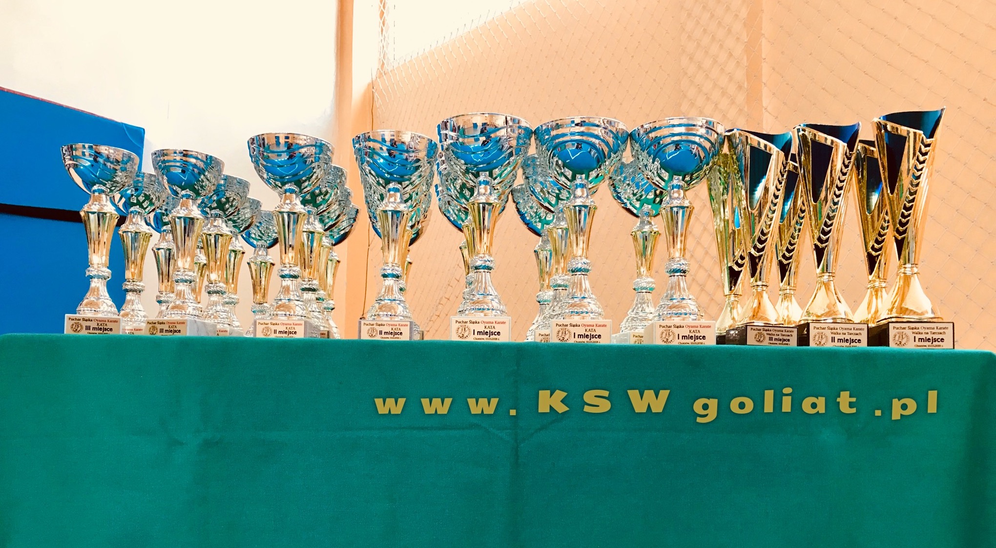 Puchar Śląska w karate (10.03.2018r.) - konkurencja kata oraz walka na tarczy