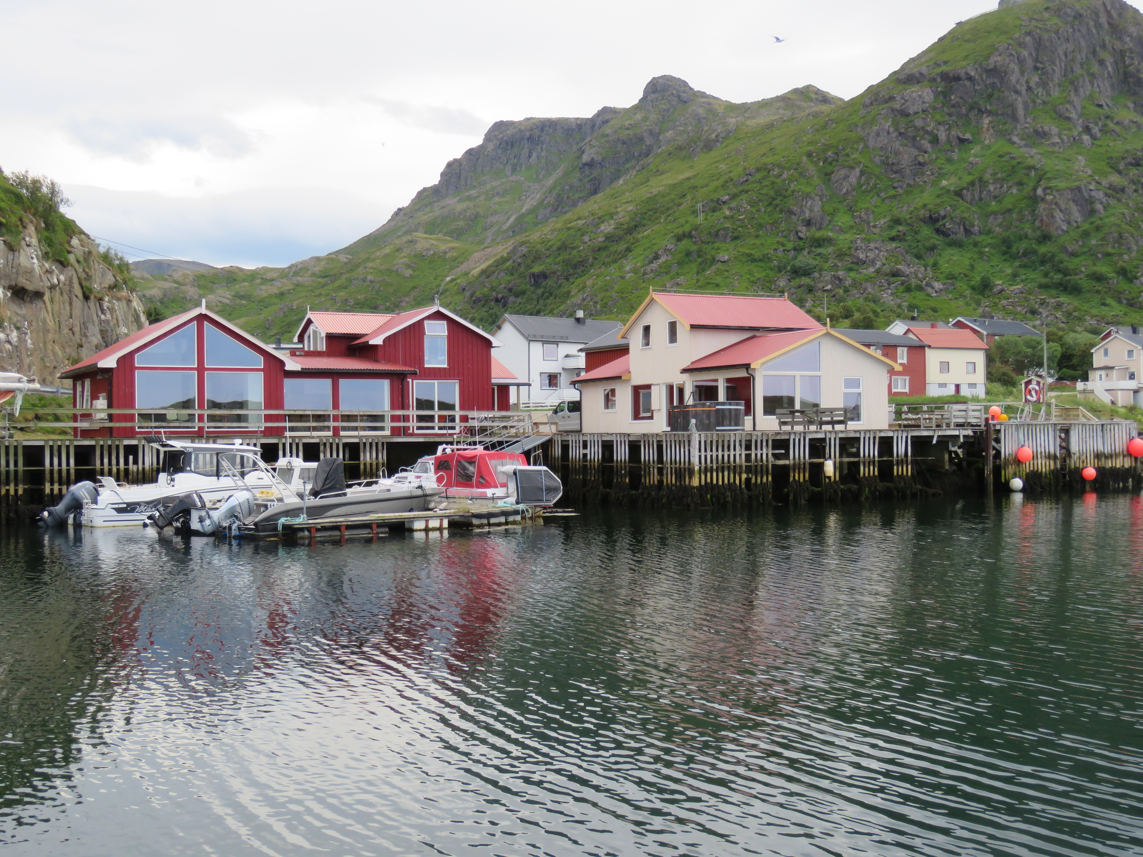 Lofoty, skrei, na ryby norwegia