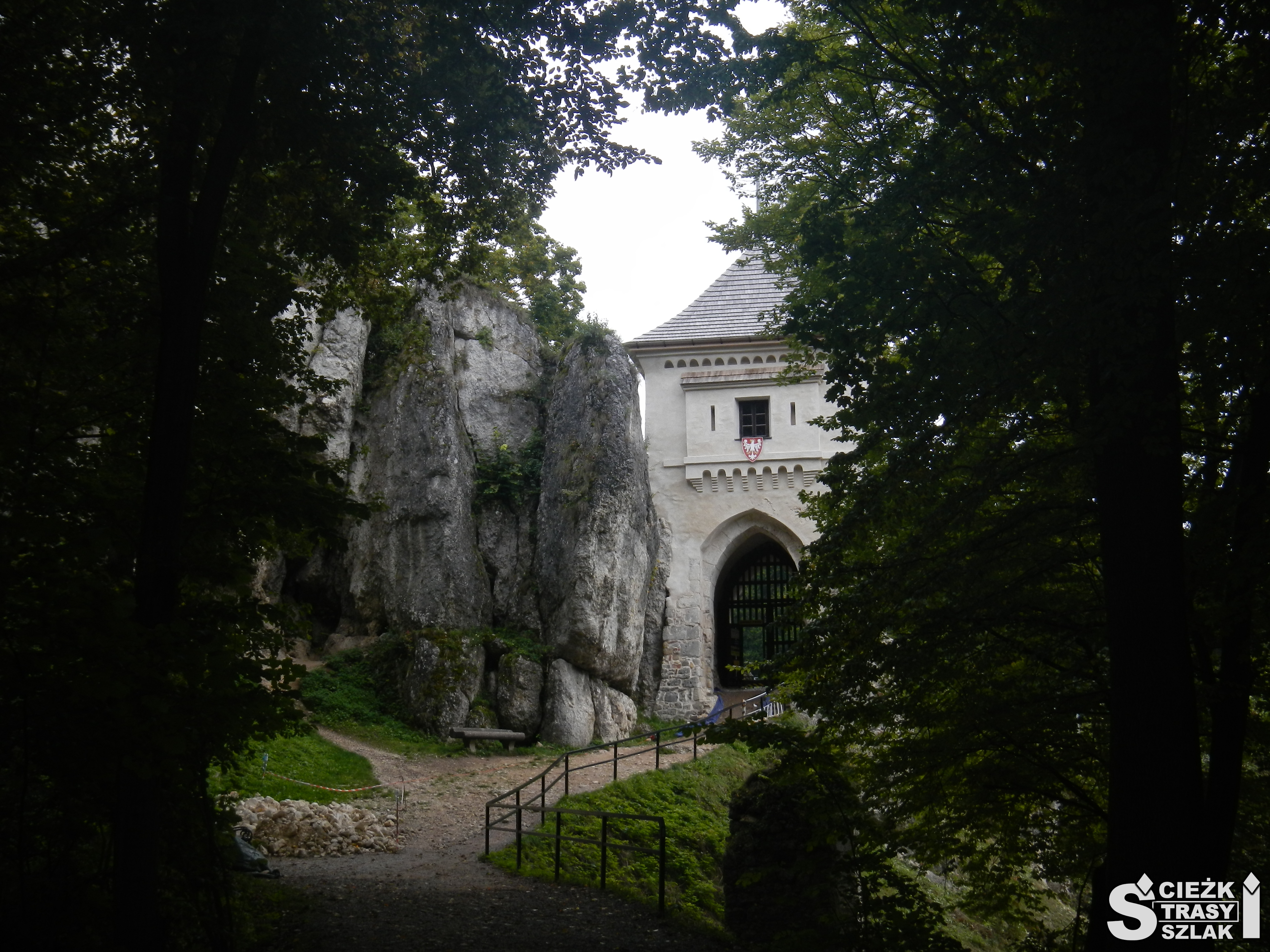 Brama wjazdowa za skałą wapienną prowadząca między drzewami do Ruin Zamku w Ojcowie