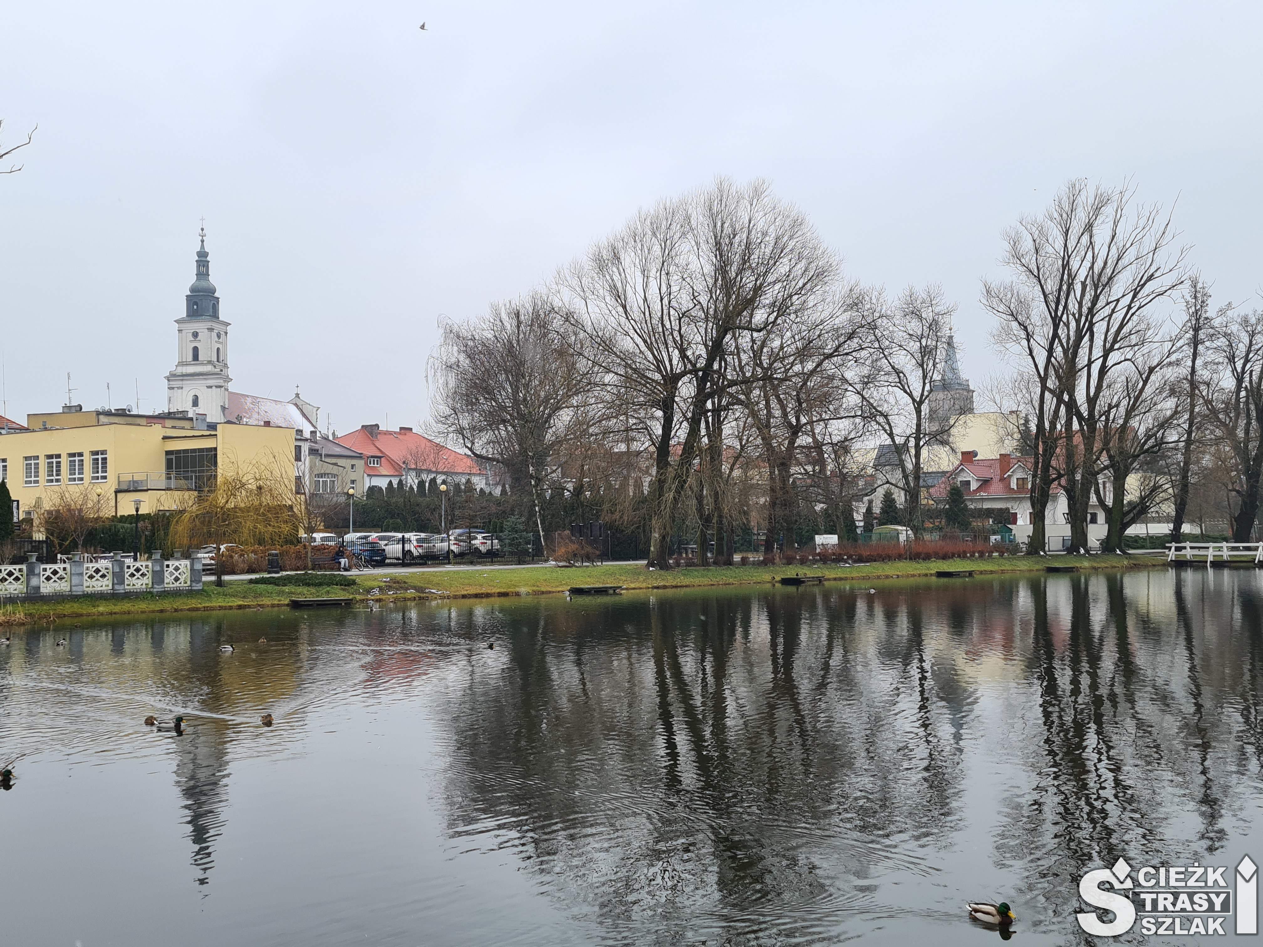 Widok na ratusz miasta Wolsztyn i brzeg jeziora wolsztyńskiego z promenadą i ścieżką dydaktyczną