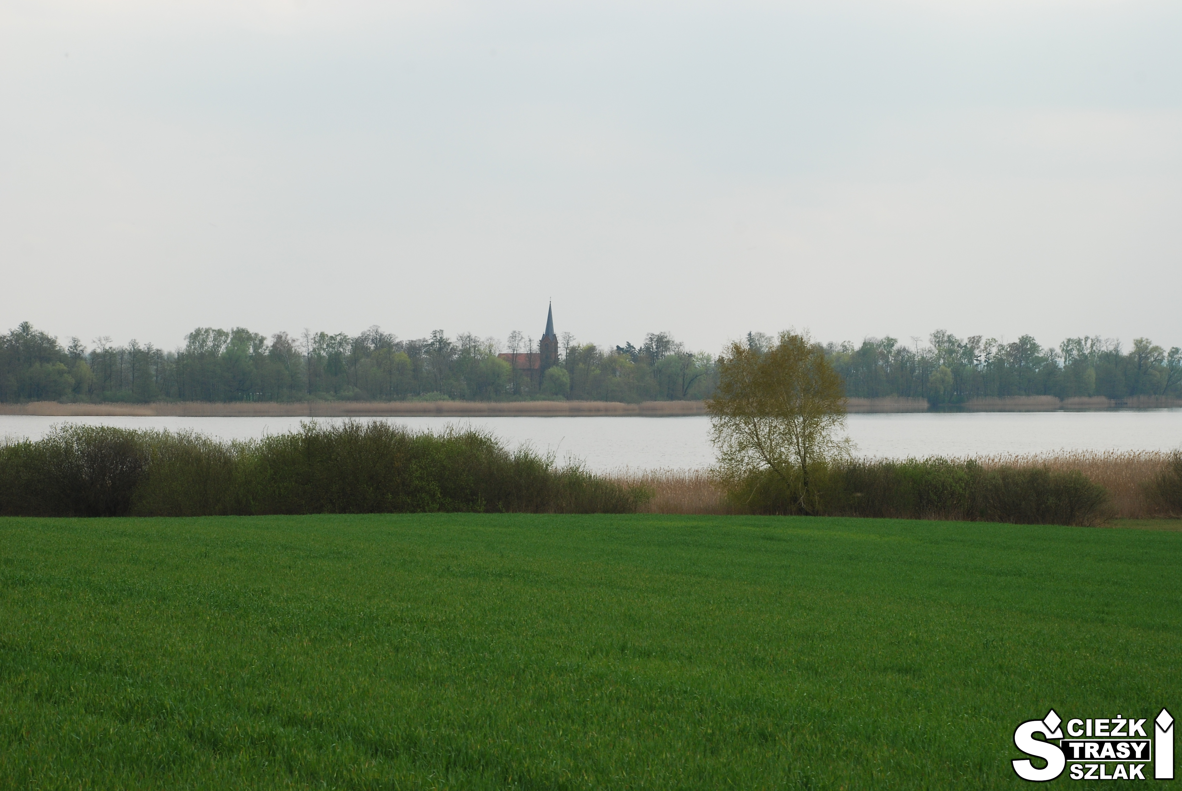 Zielone łąki na brzegu jeziora w Polskiej Wenecji z kościołem na horyzoncie ze Żnińskiej Kolei Wąskotorowej