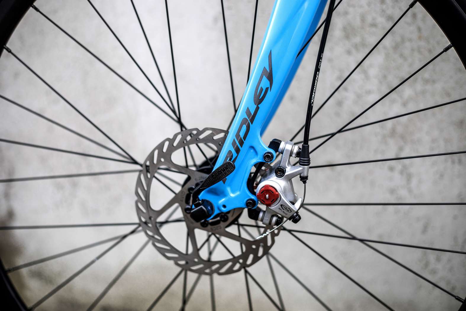 ridley x bow disc 2020