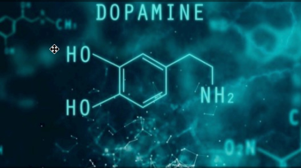 Geny i ich polimorfizmy związane z dopaminą