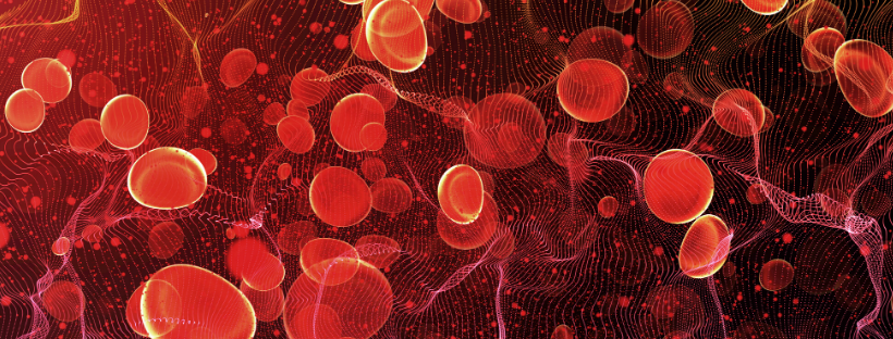 Dlaczego prawidłowy poziom czerwonych krwinek jest tak ważny i co zrobić, by zwiększyć ich ilość?