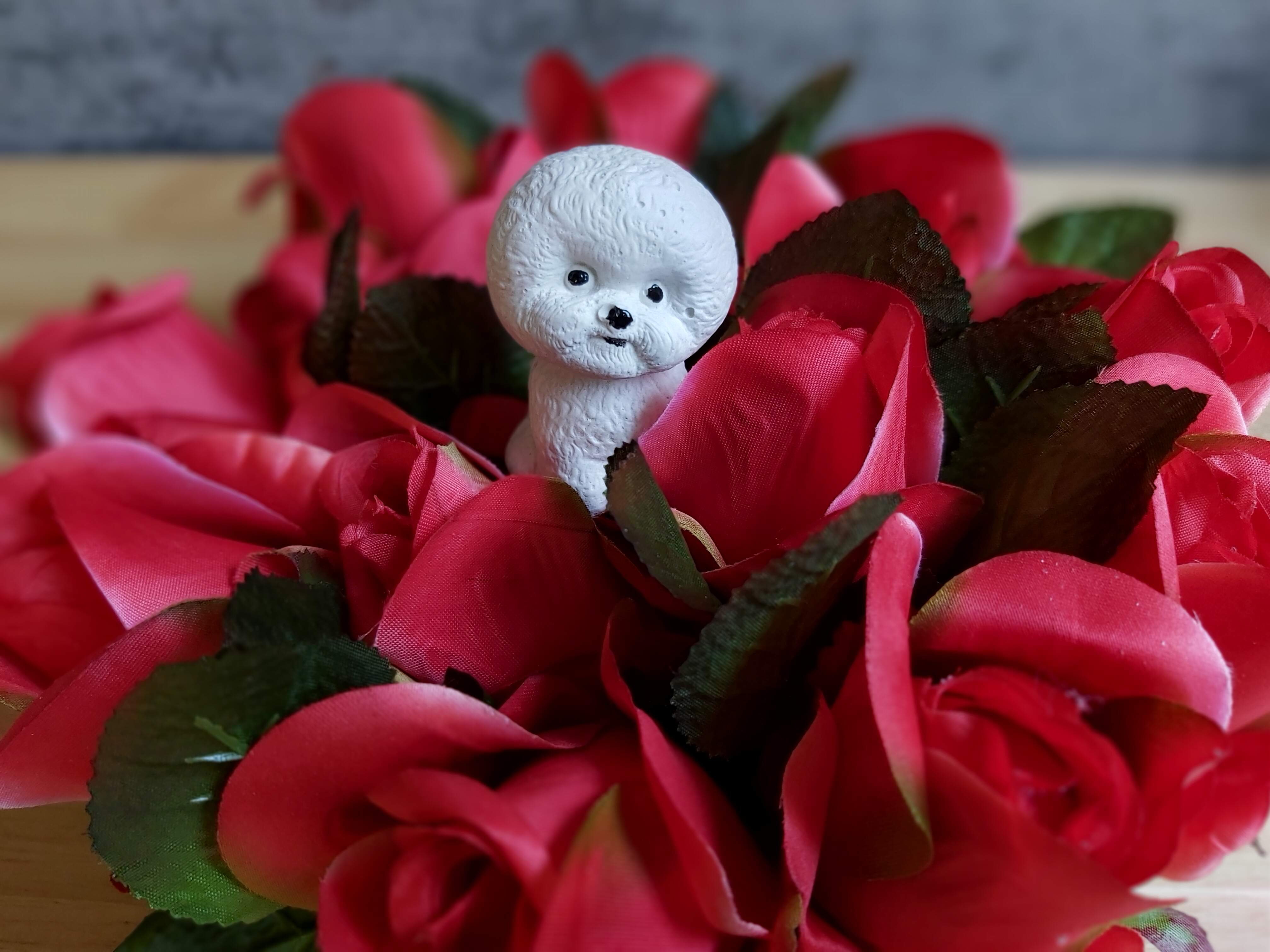 Flowerbox czerwone róże z bichonkiem