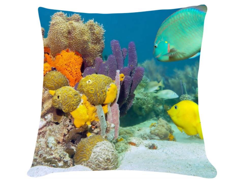 Rafa-koralowa-ndruk-na-poduszce