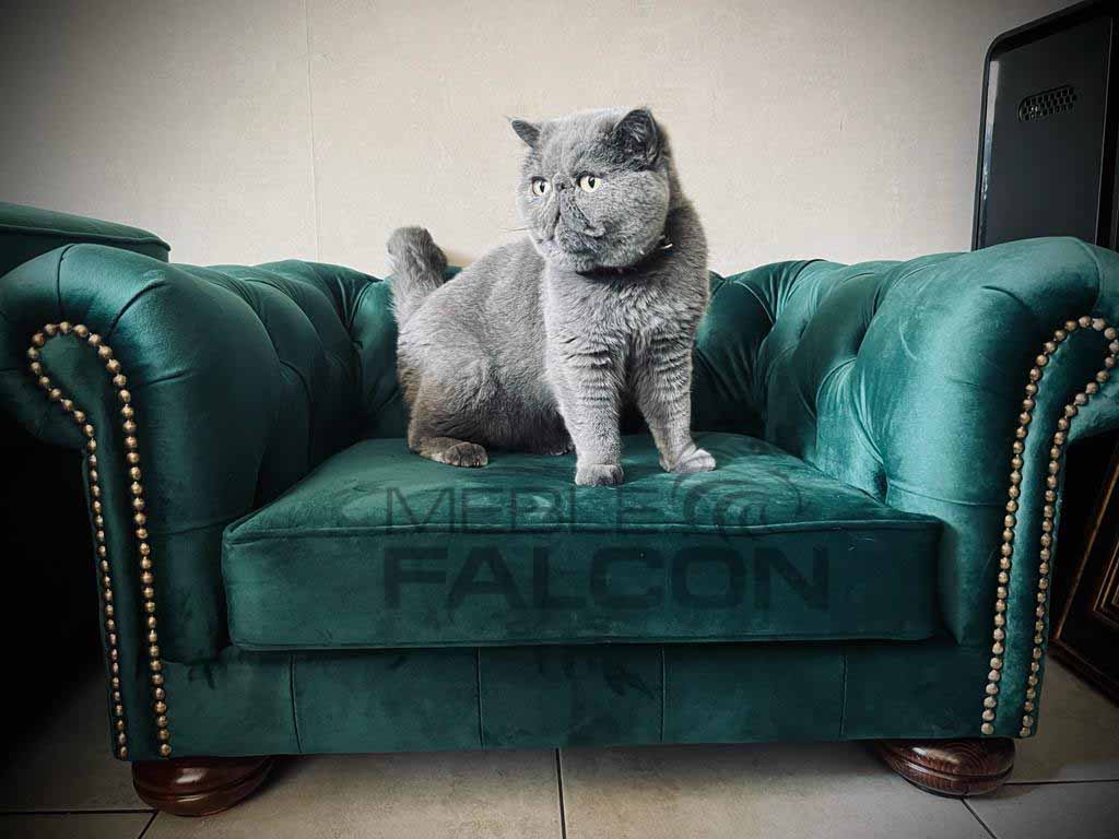 mała sofka chesterfield pikowana dla piesków kotów