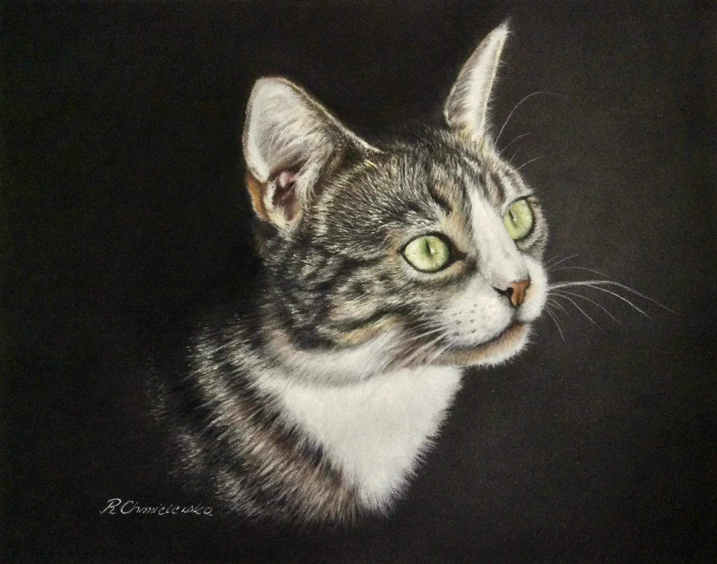Tabby cat, pastel portrait, 24x30cm, 300PLN