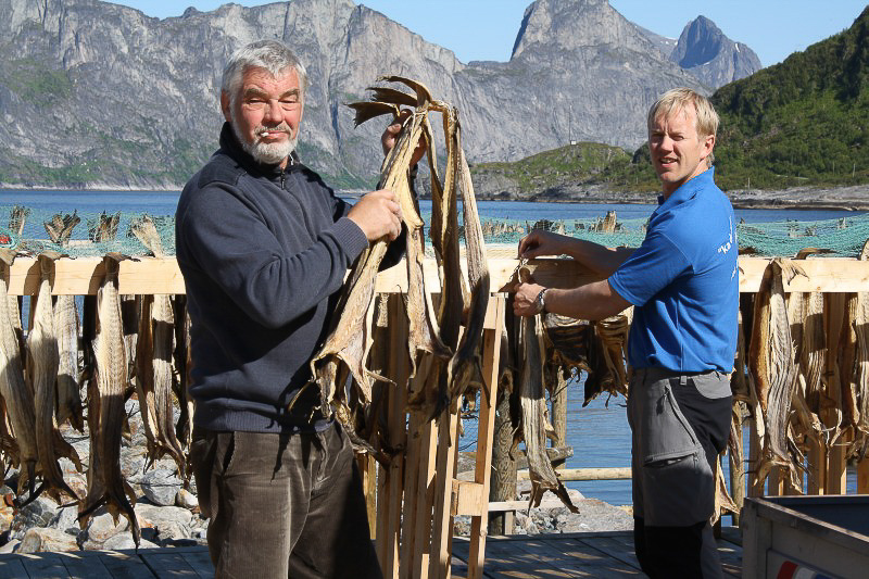 Norwegia ryby wyprawy