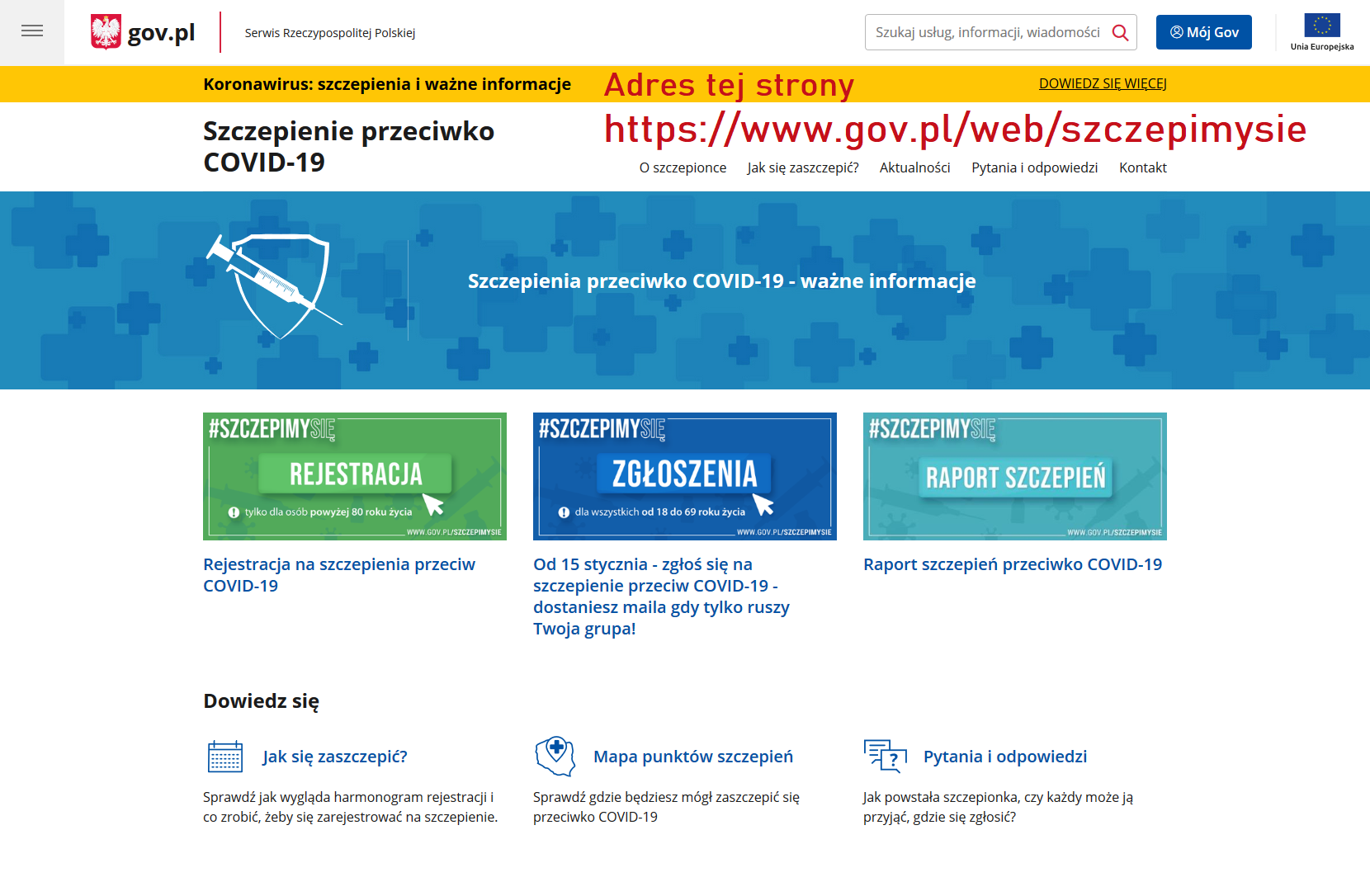 www.gov.pl/web/szczepimysie