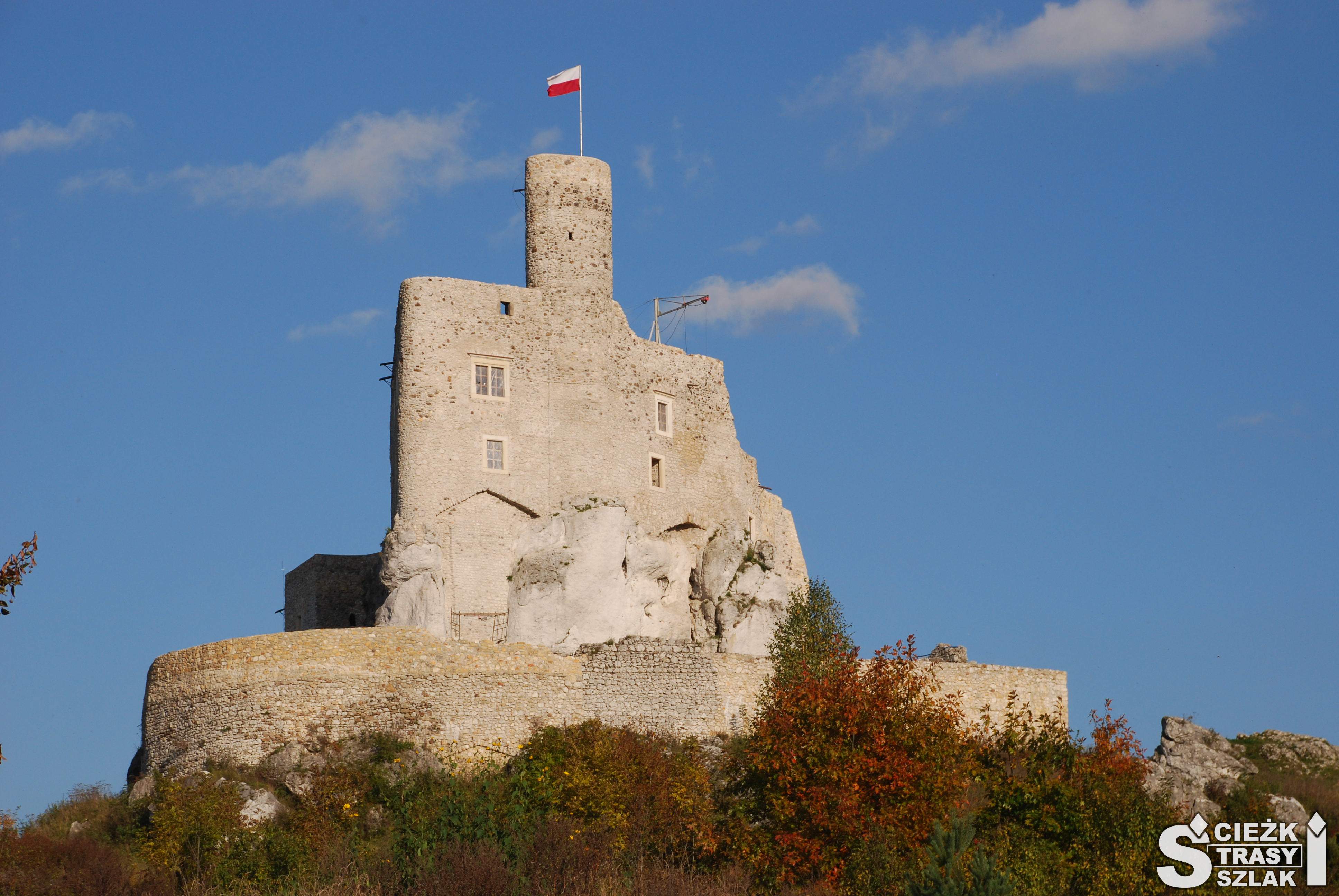 Odrestaurowane ruiny Zamku w Mirowie z polską flagą na wieży, otoczone murem obronnym lekko przysłoniętym krzewami