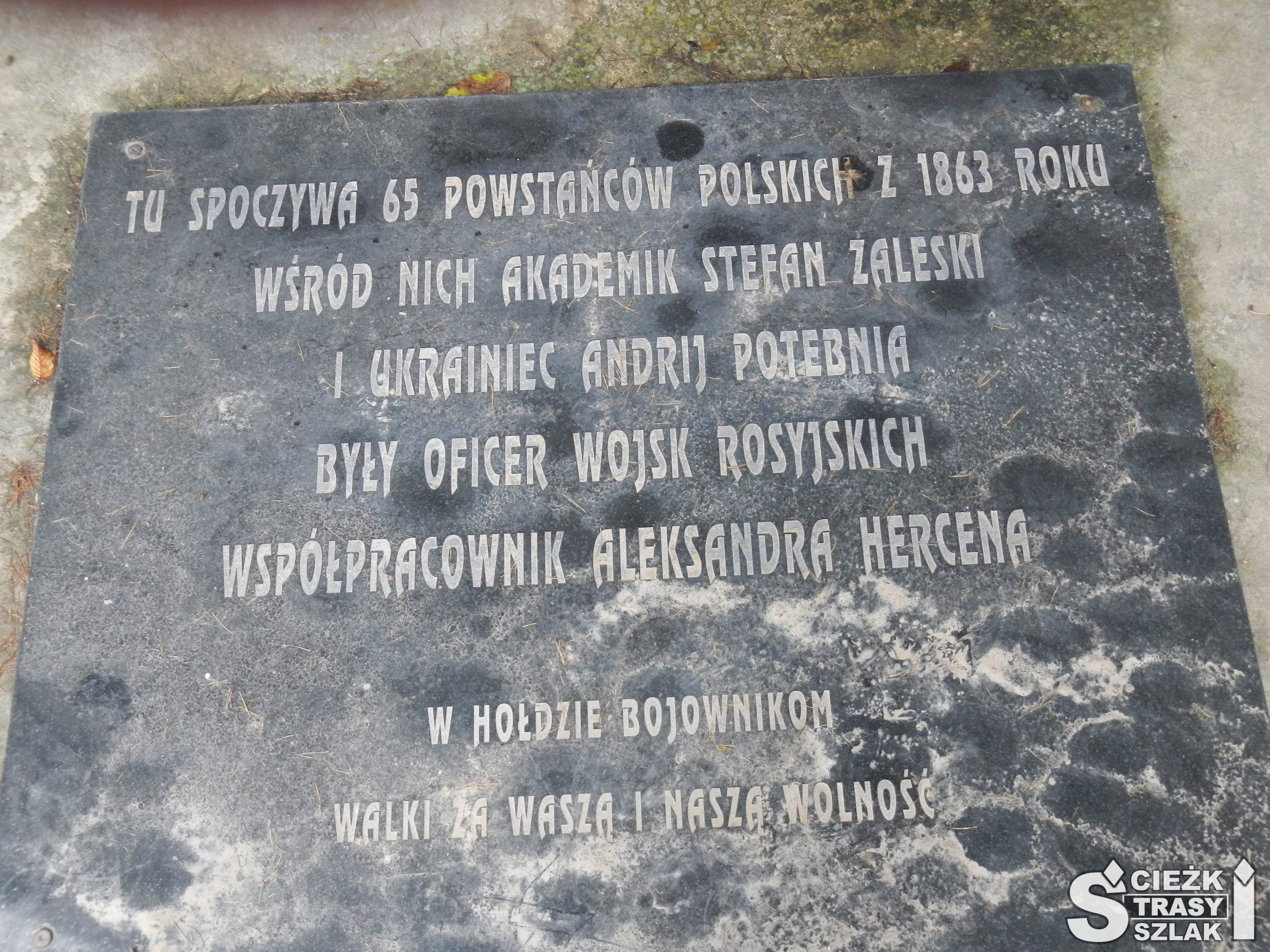 Płyta nagrobna z napisem "Tu spoczywa 65 powstańców polskich z 1863 roku"
