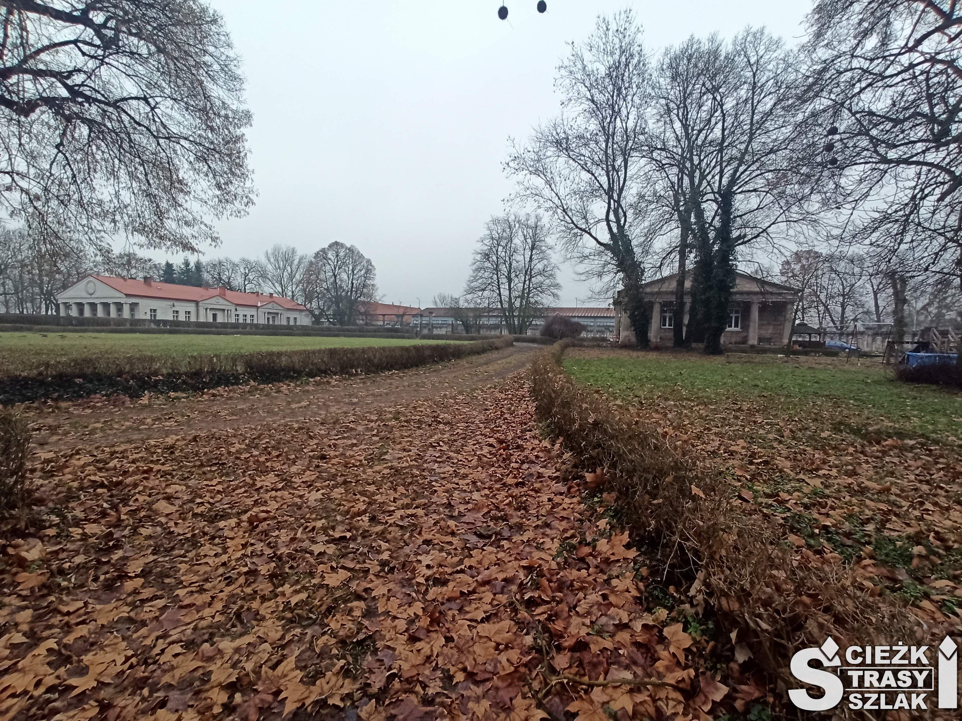 Szeroka ścieżka przysypaną liśćmi od pałacu Kumatowskich w stronę stajni i ujeżdżalni