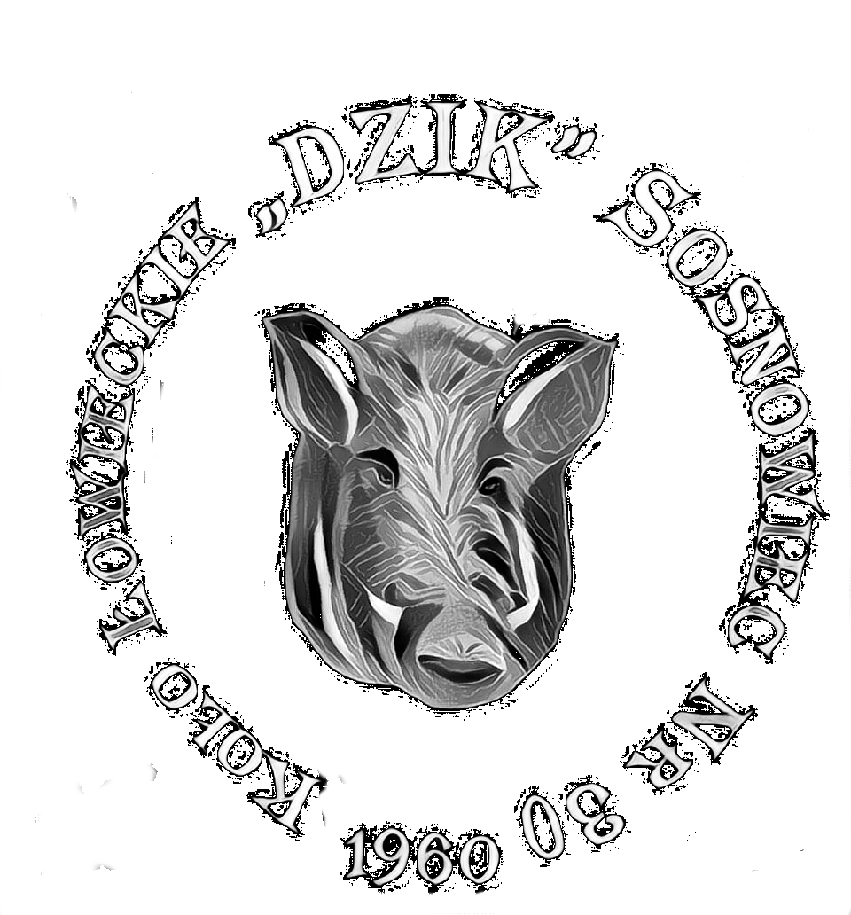 DZIK SOSNOWIEC