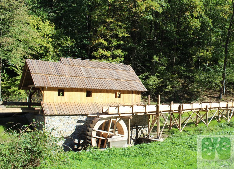 Nowy Sącz - Tartak z Zasadnego: reconstruction of the drive mechanism 1 water wheel 53,50m2