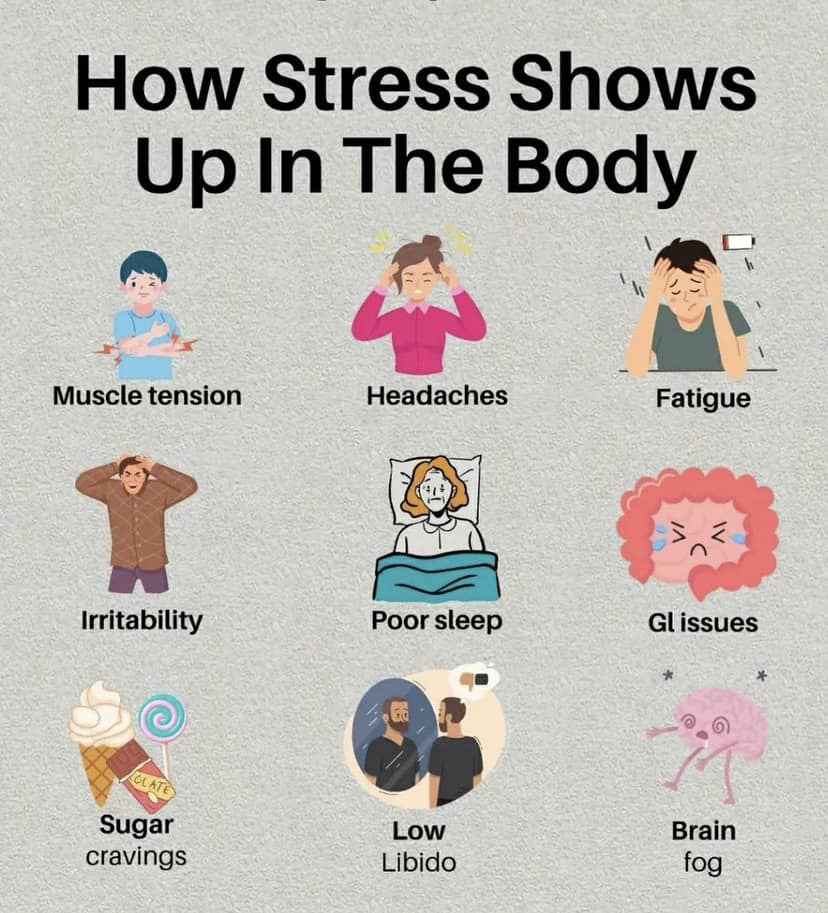 How Stress Shows Up in the Bodyjpg