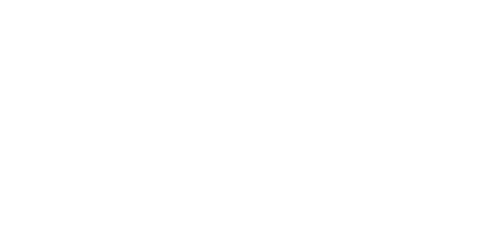 logo narodowej fundacji snu