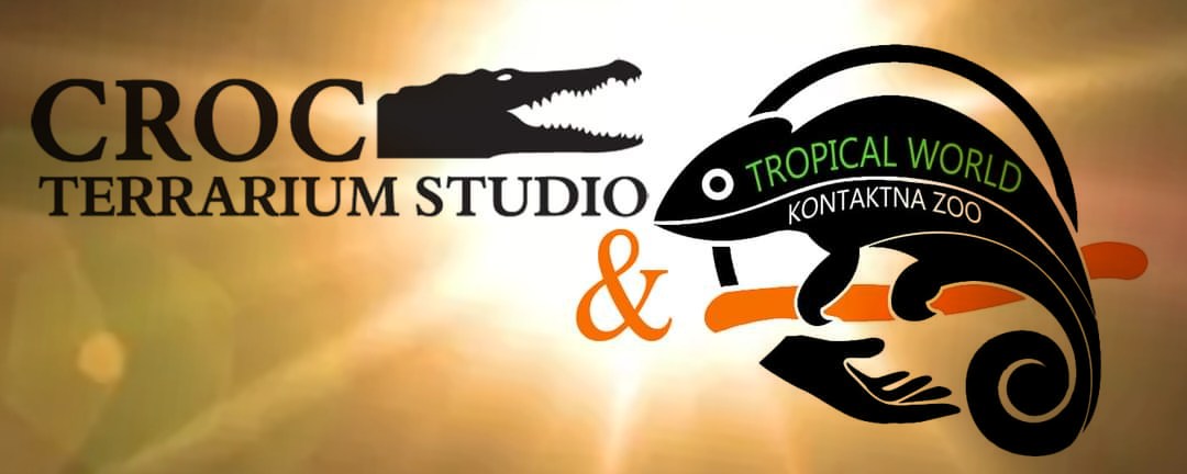 CROC TERRARIUM STUDIO & TROPICAL WORLD