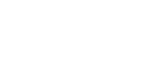 logo tempur