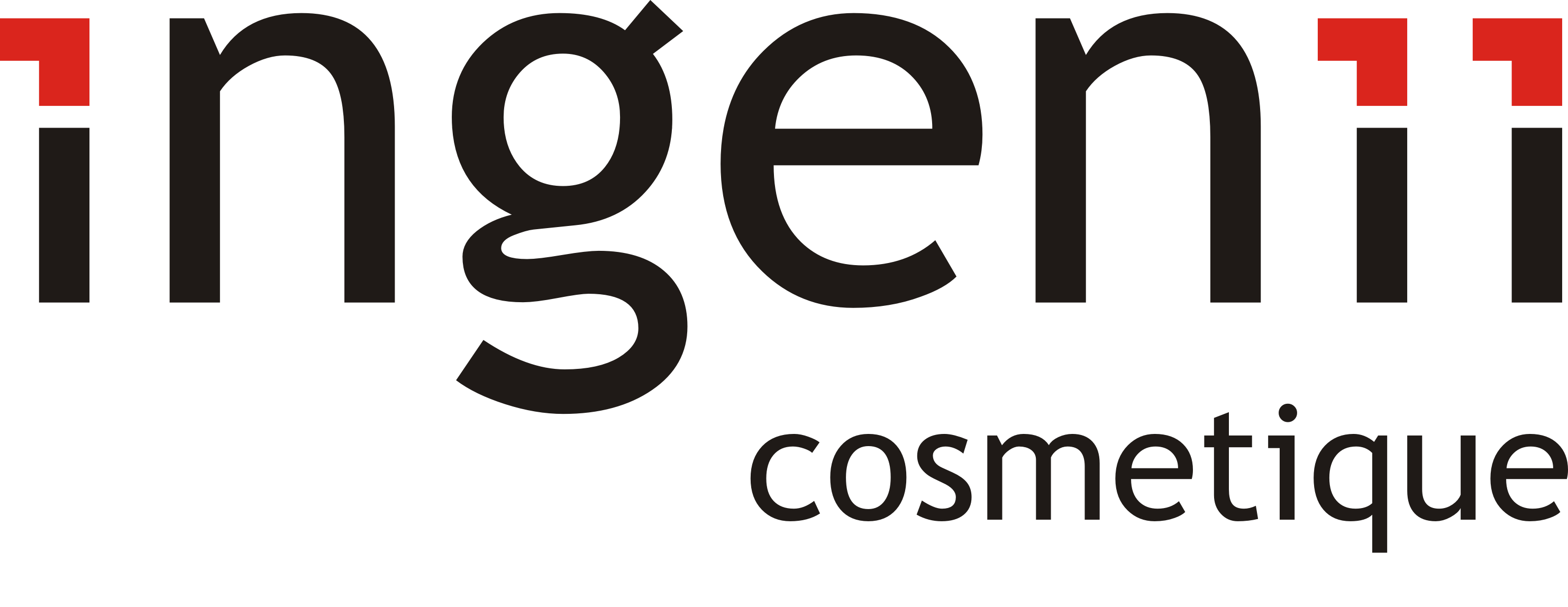 logo Ingenii blackpng