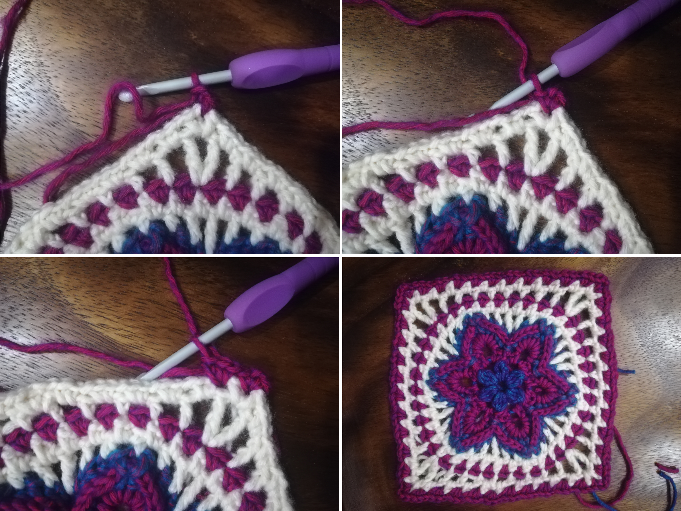 anemone granny square 10png