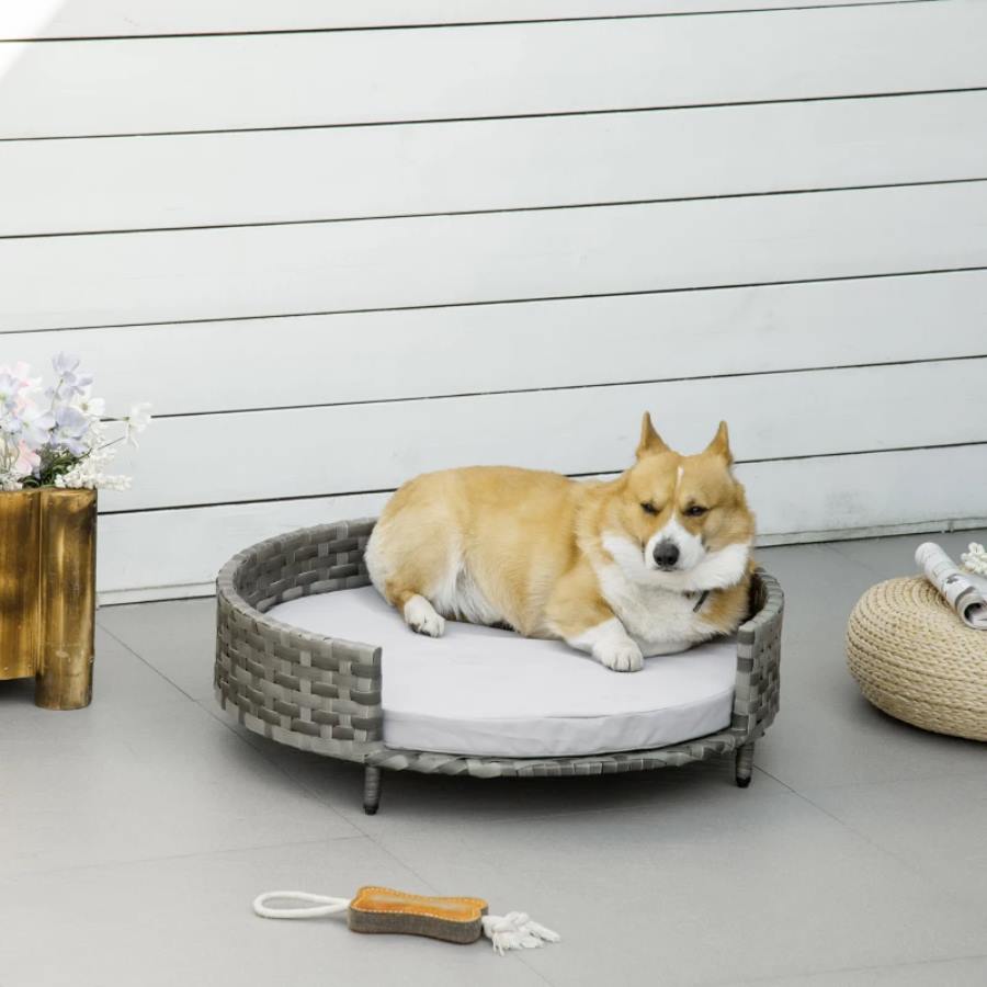 PawHut Kanapa, sofa dla psa z poduszką 75 dł. x 75 szer. x 20