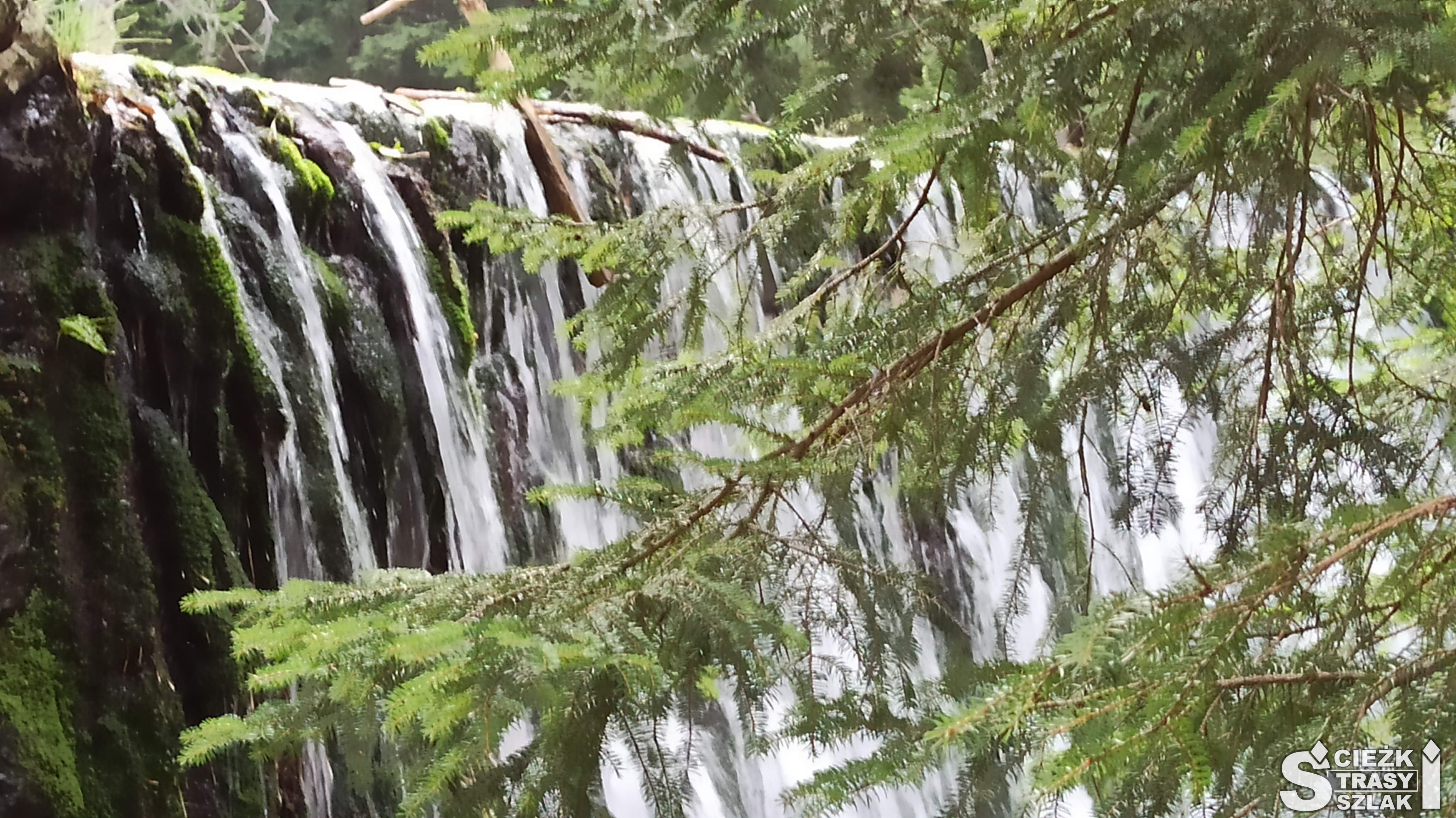 Dziki Wodospad zasłonięty gałęziami w centrum miasta Karpacz kilka kroków od wyciągu narciarskiego Na Kopę