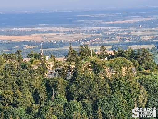 Widok ze szczytu Twierdzy Srebrna Góra na korony drzew, łąki i inne fortyfikacje