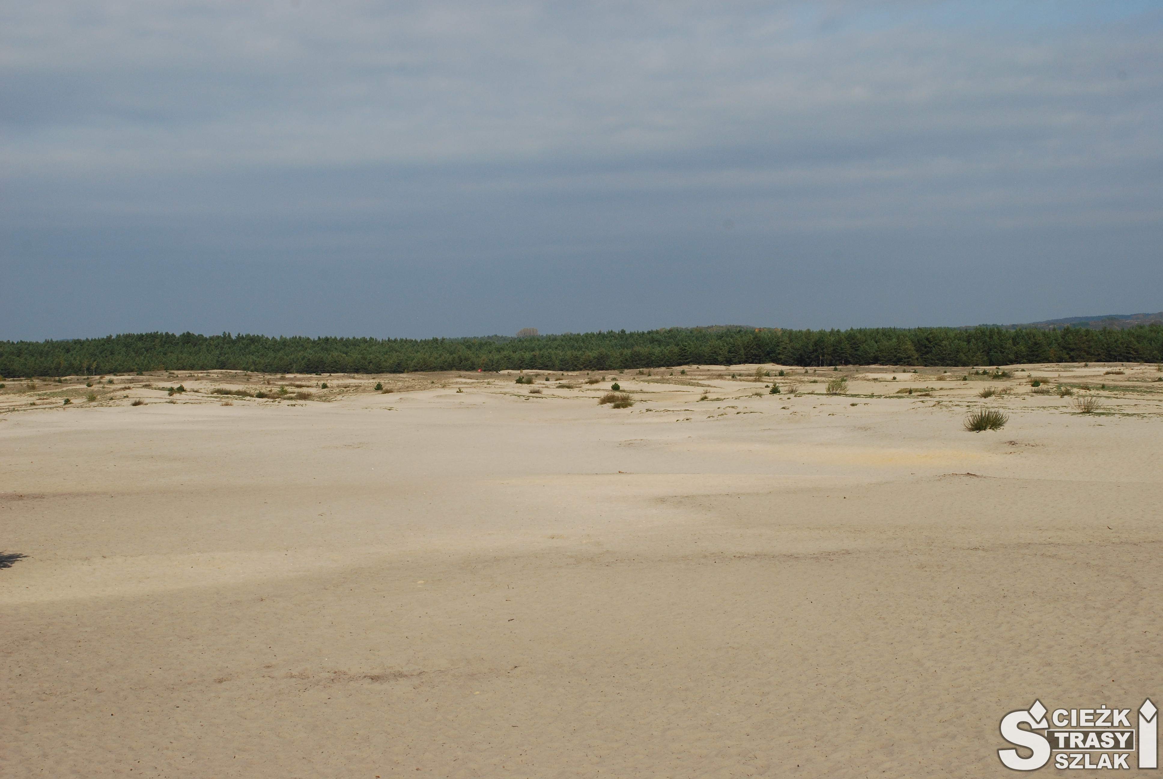 Piaski pustyni Błędowskiej z niewielkimi wydmami i lasem w tle wzdłuż rzeki Białej Przemszy