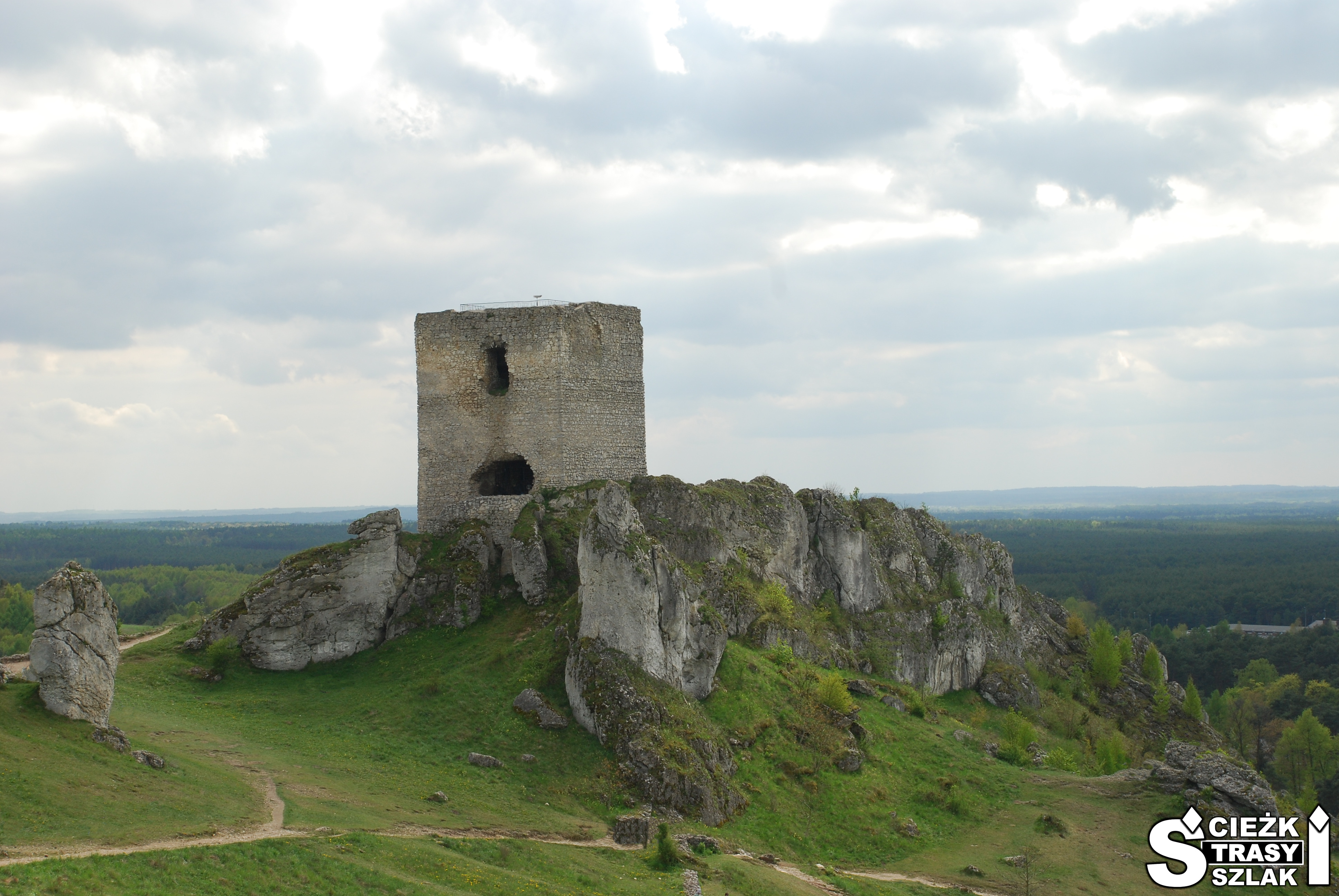 Fragmenty kwadratowej wieży Sołtysiej z dwoma oknami na skale wapiennej i zielonym wzgórzu zamkowym w Olsztynie