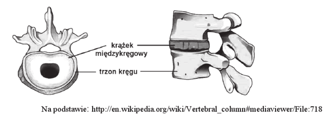 Zrzut ekranu 2024-04-13 o 213435png