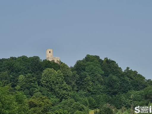 Wieża widokowa z oknem zamku smoleń - pilcza na wzgórzu wapiennym ponad koronami drzew
