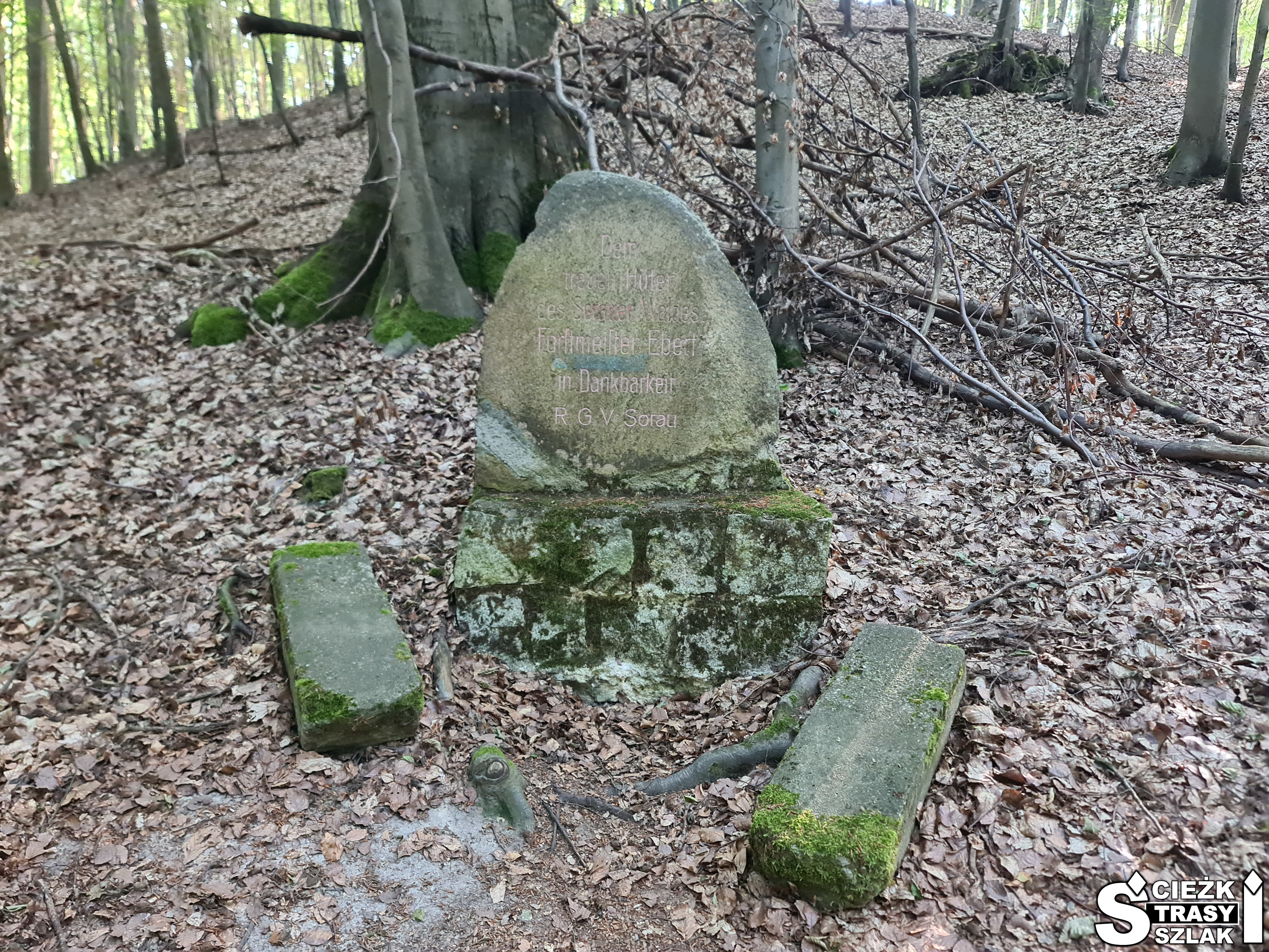 Zabytkowy kamień, tablica pamiątkowa w Zielonym Lesie w Żarach na cześć wiernego leśnika