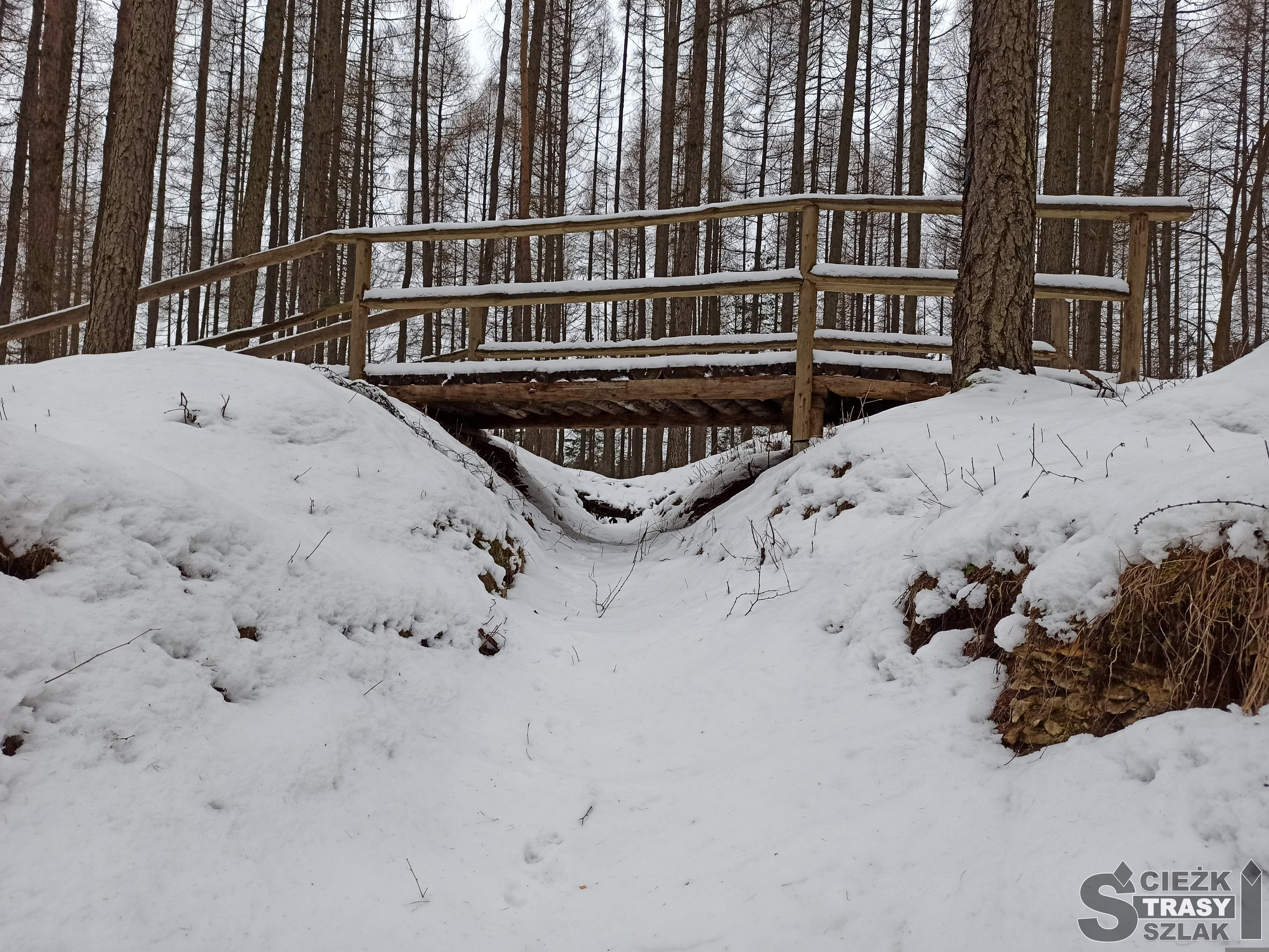 Drewniany mostek nad okopem wojennym w lesie gdzie toczyła się Bitwa pod Krzywopłotami