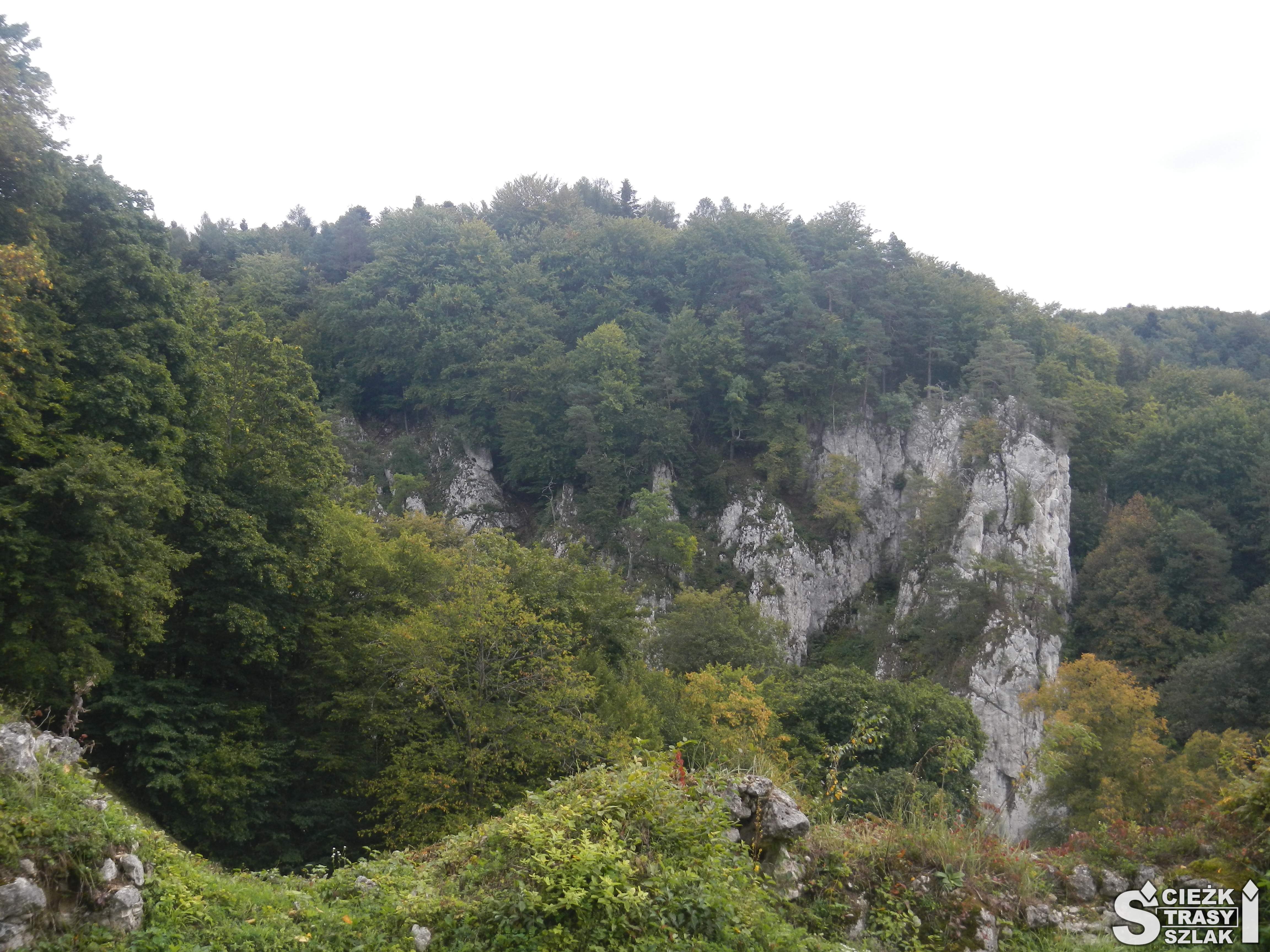 Panorama na Dolinę Prądnika i skały wapienne znad przepaści porośnięte drzewami