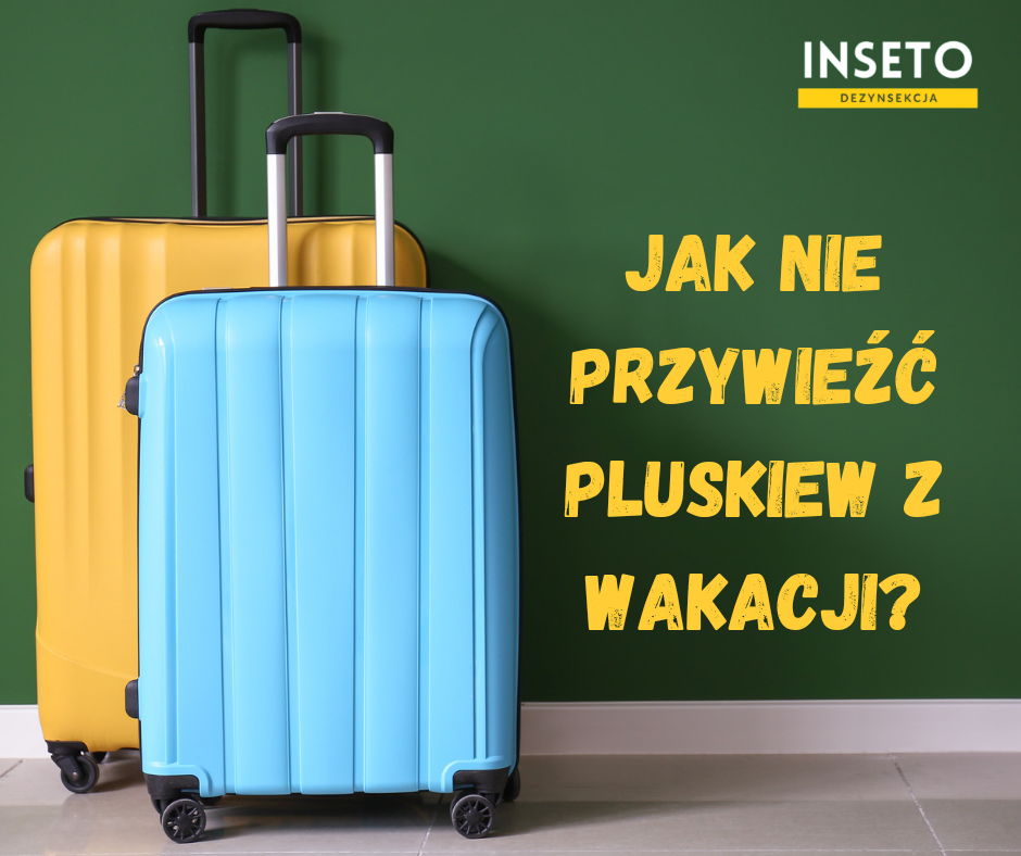 Jak Nie Przywieźć Pluskiew z Wakacji?