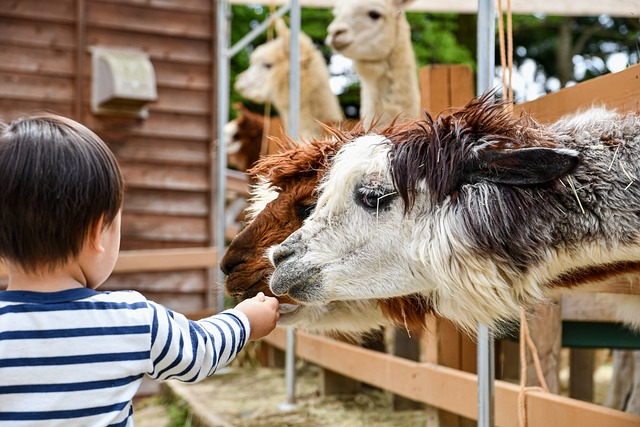 Zooterapia w przedszkolu: wpływ na dzieci i znaczenie alpakoterapii oraz dogoterapii