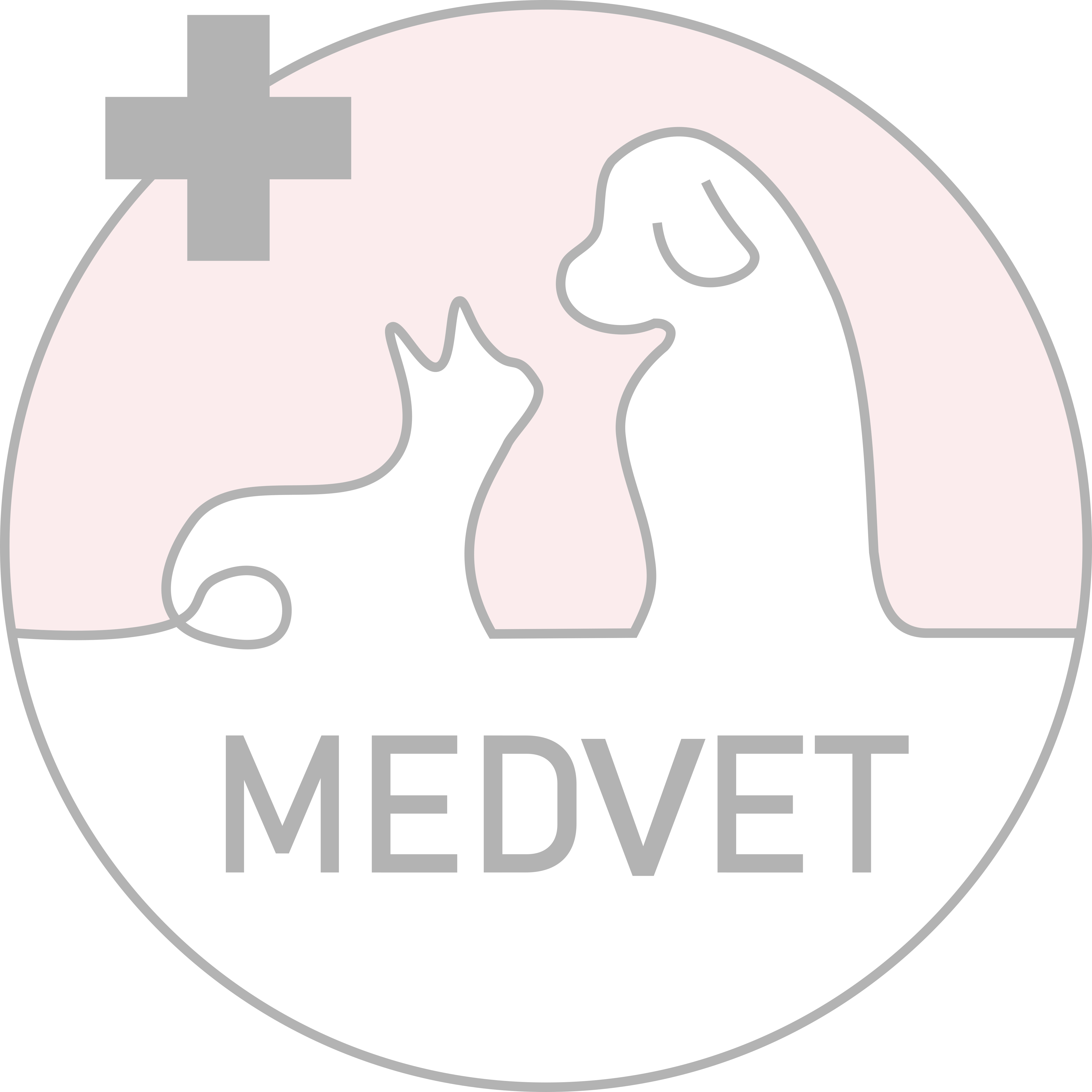 Przychodnia Weterynaryjna MEDVET