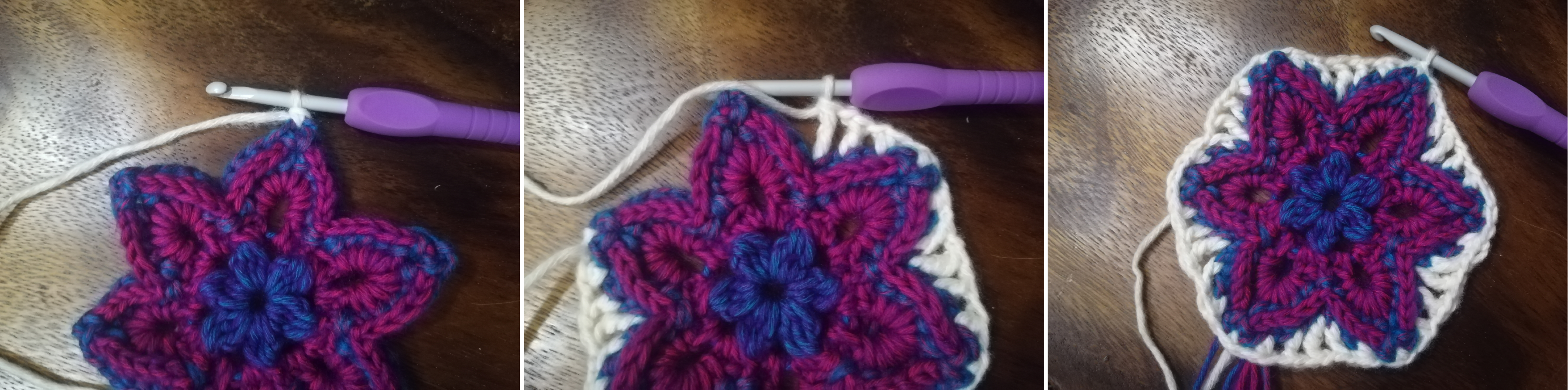 anemone granny square 5png