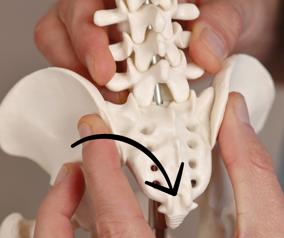 Ból kości ogonowej: Jak fizjoterapia uroginekologiczna może w tym pomóc?