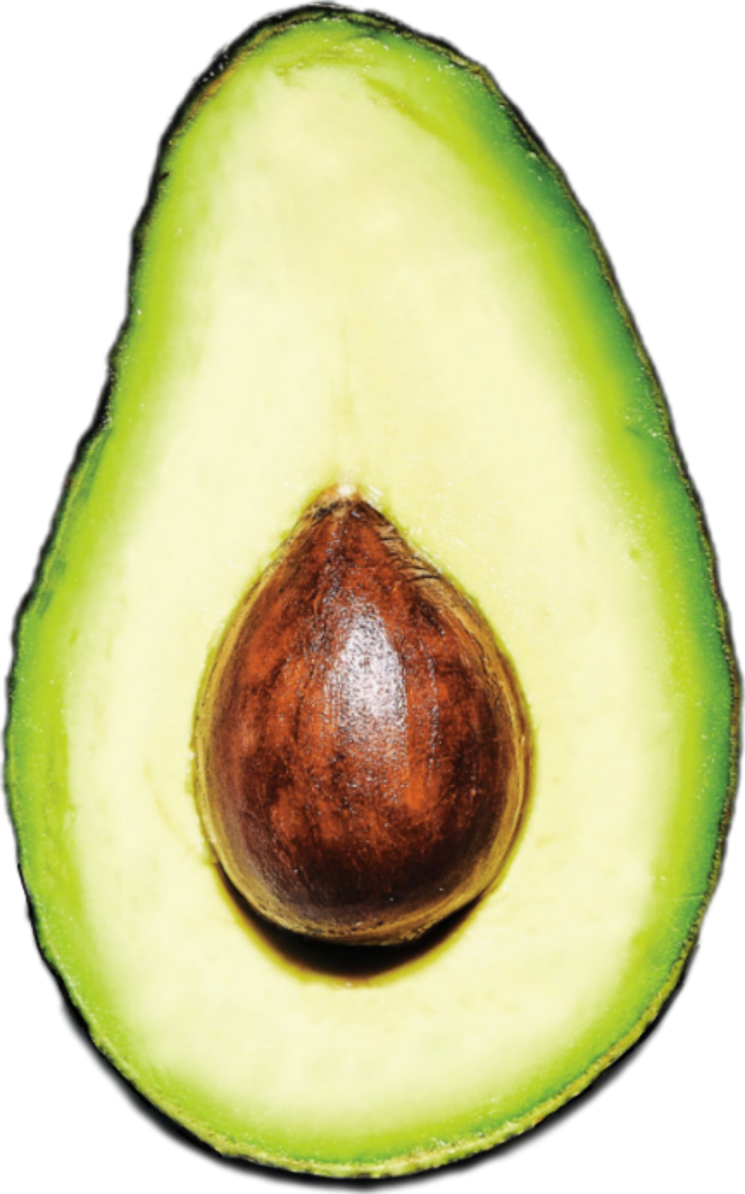 Avocado Media